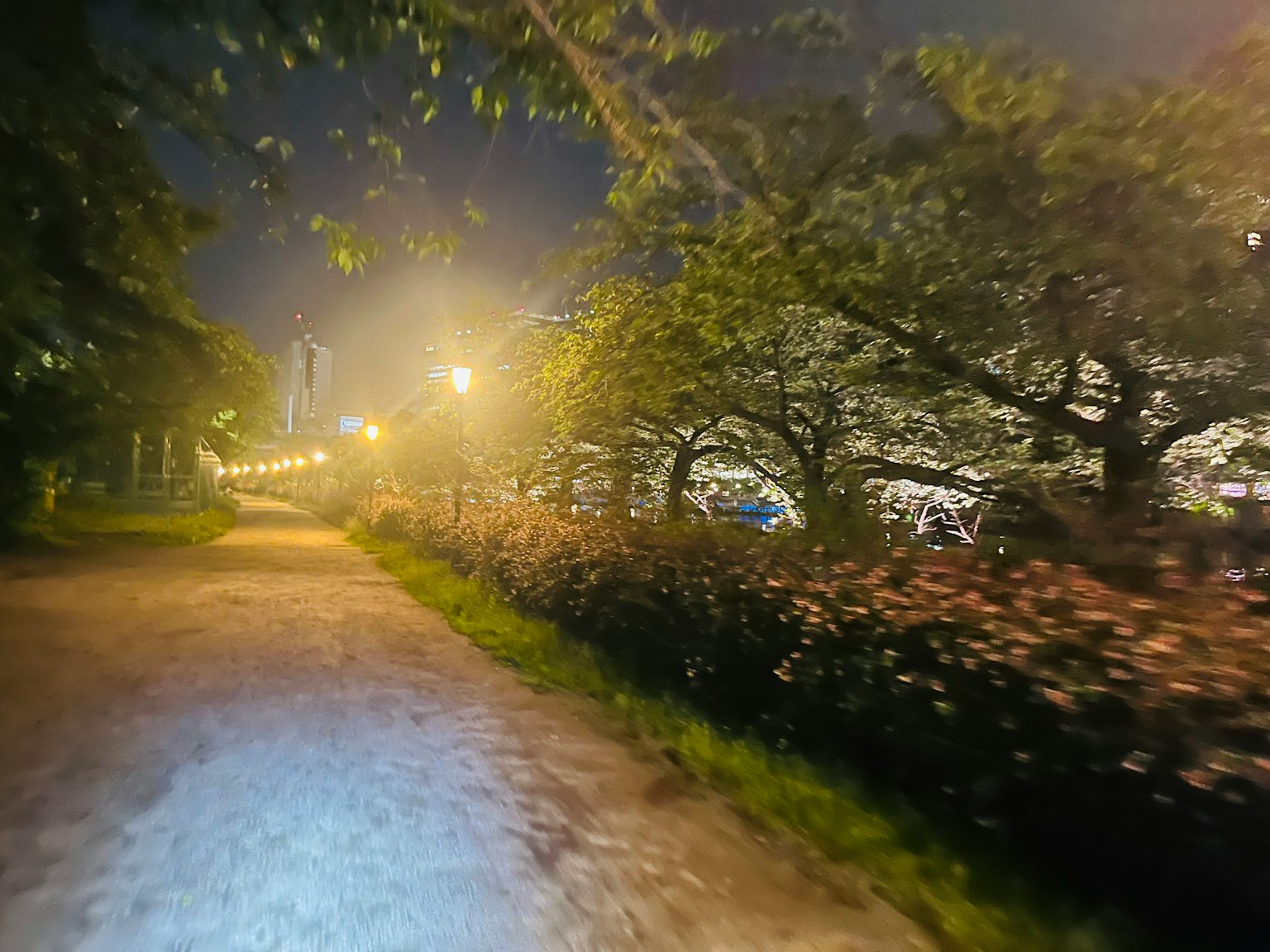 Un sendero iluminado en un parque por la noche bordeado de árboles y farolas