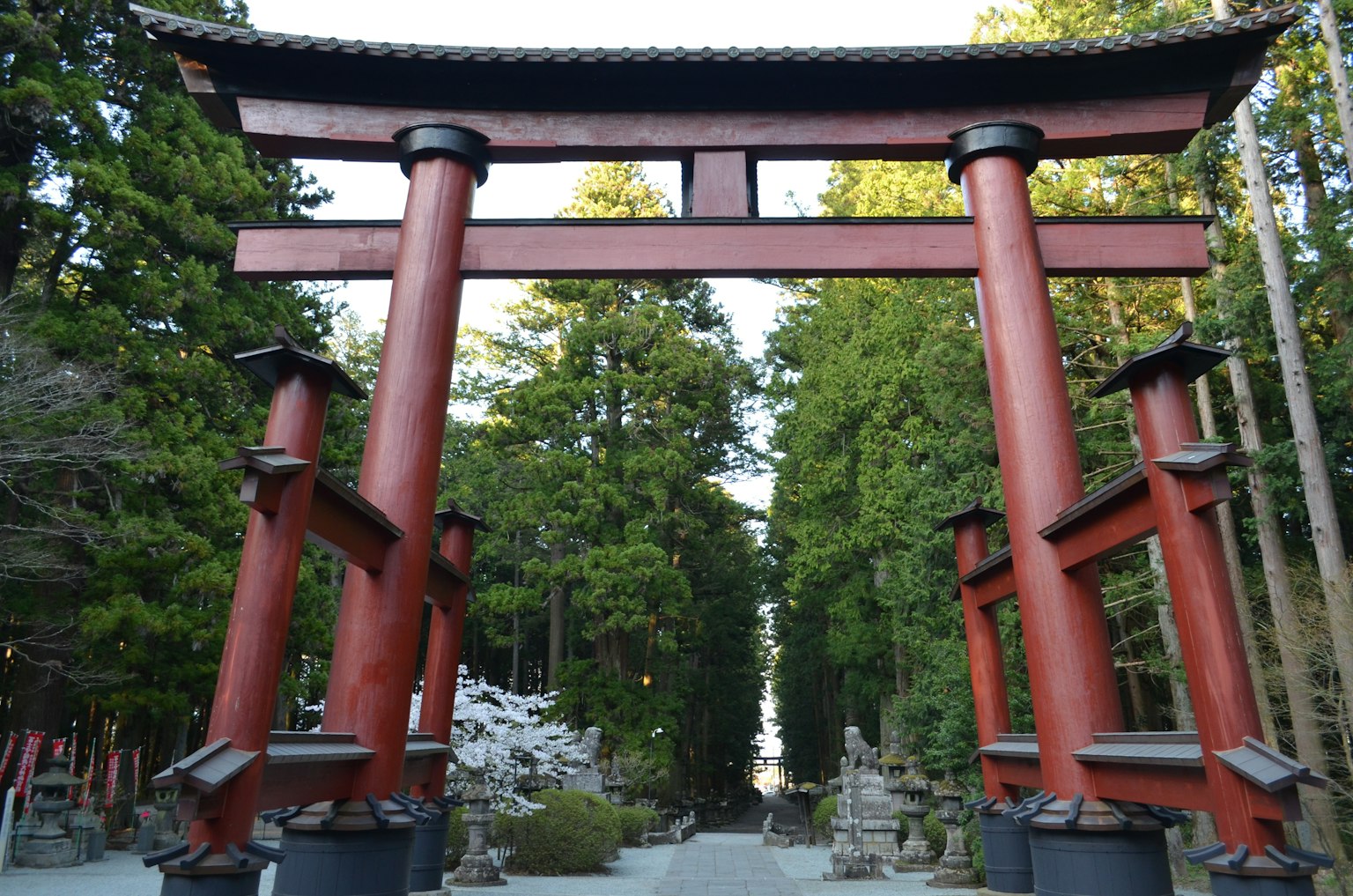 Red torii gate surrounded by lush green trees and a serene pathway
