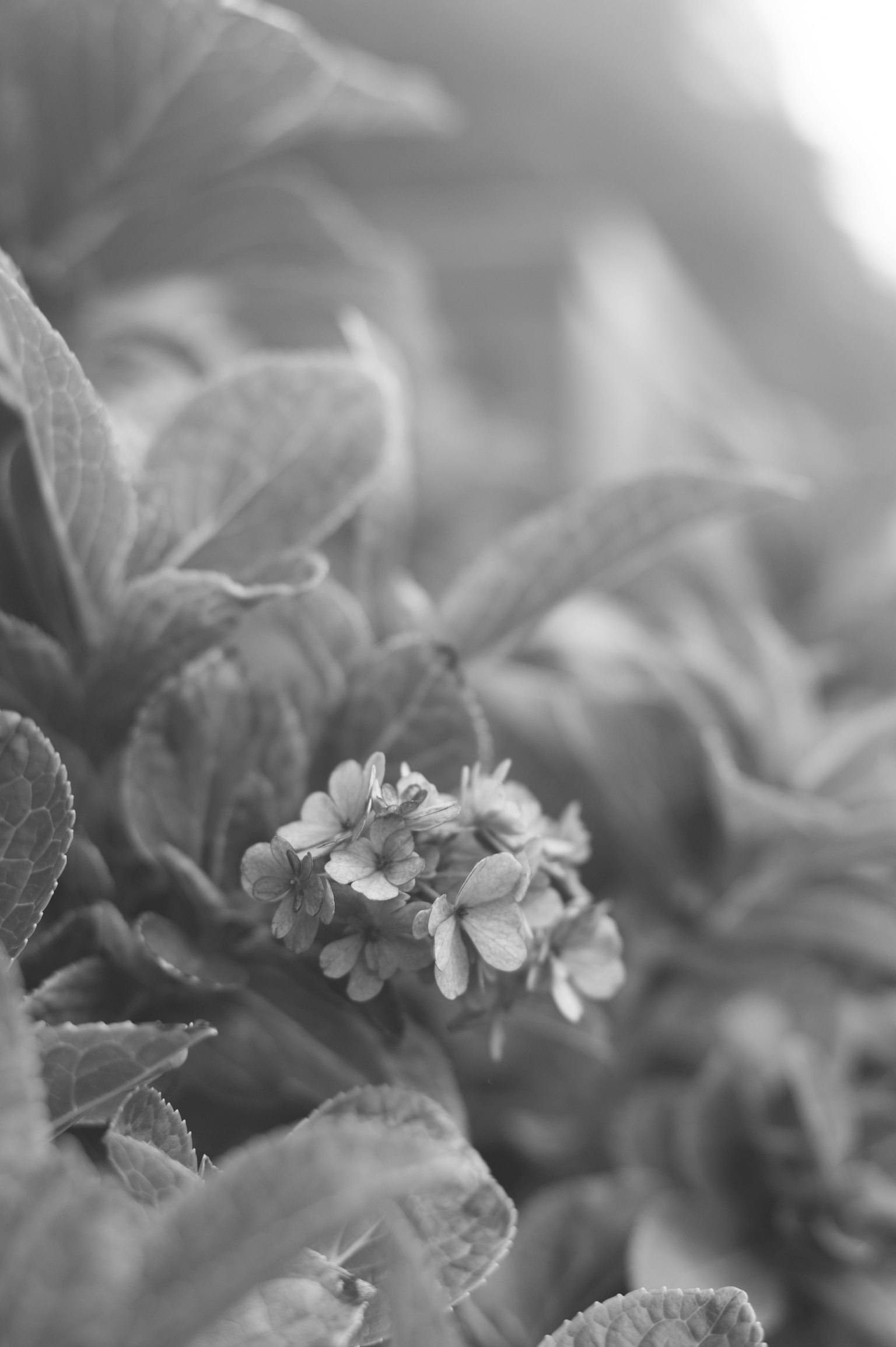 photo-pmzrvVXnRwTcnQ4bWBl1-image