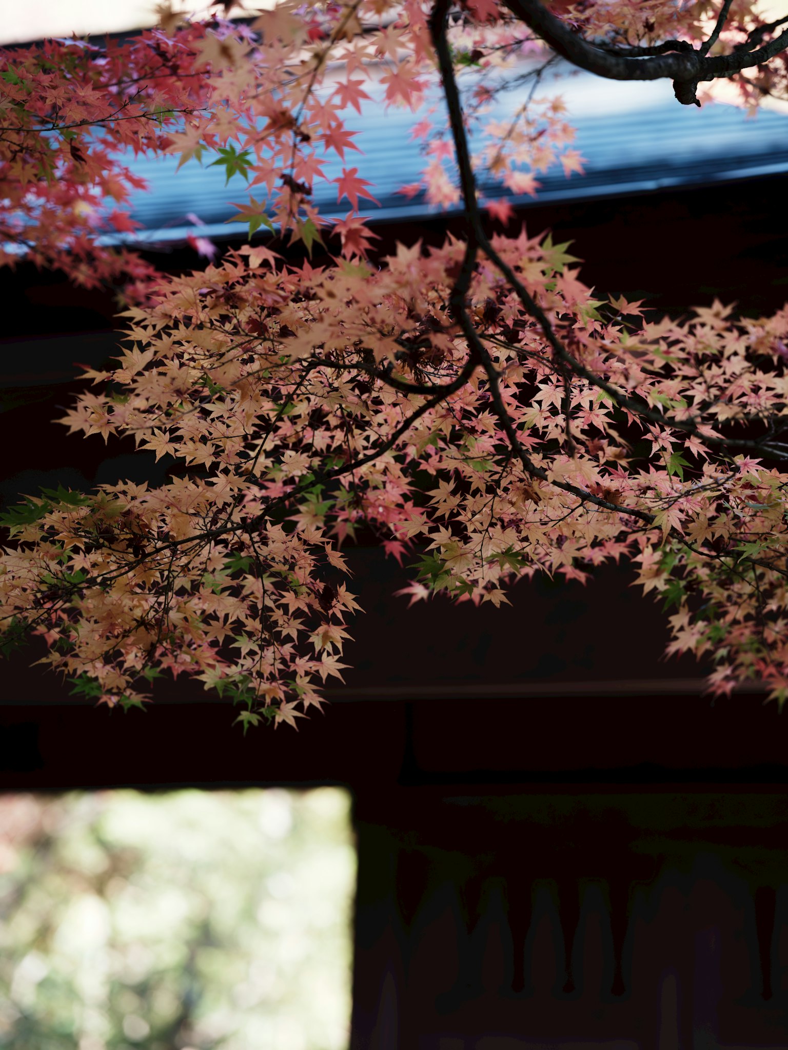 photo-pn1FsE8Njw124b2ykUu9-image