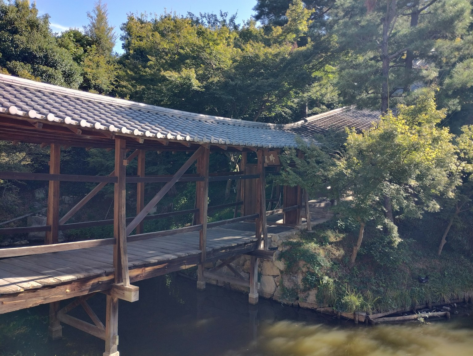 Ponte in legno che attraversa uno stagno circondato da vegetazione lussureggiante
