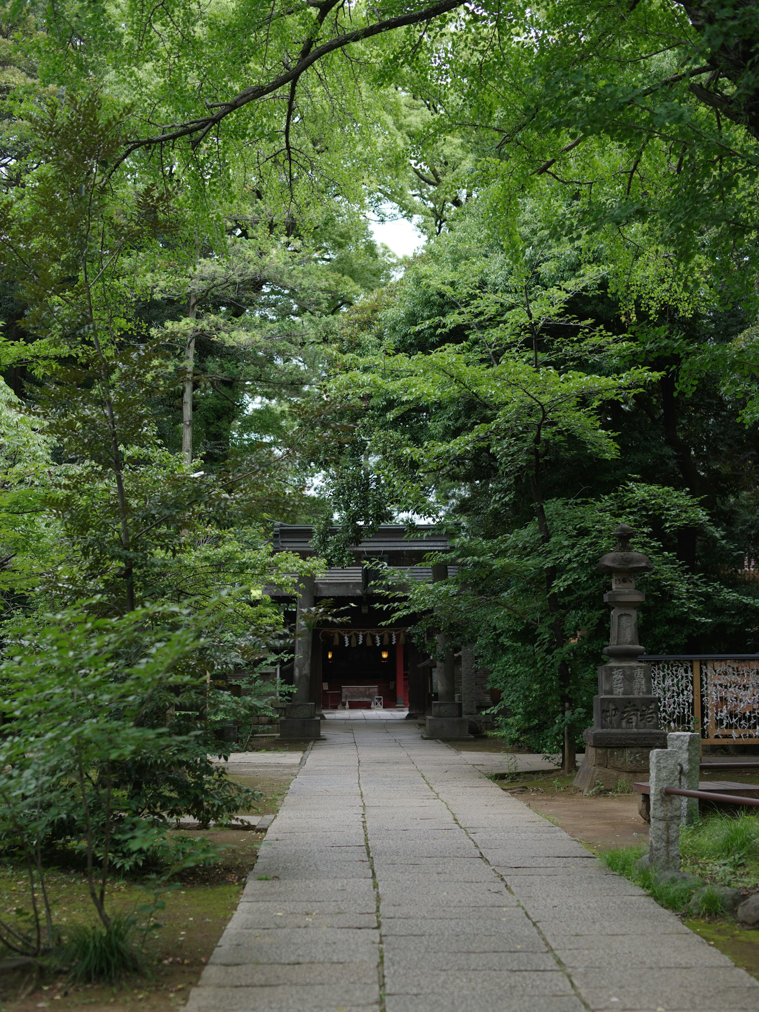 通往被郁郁蔥蔥的綠樹環繞的神社的小路