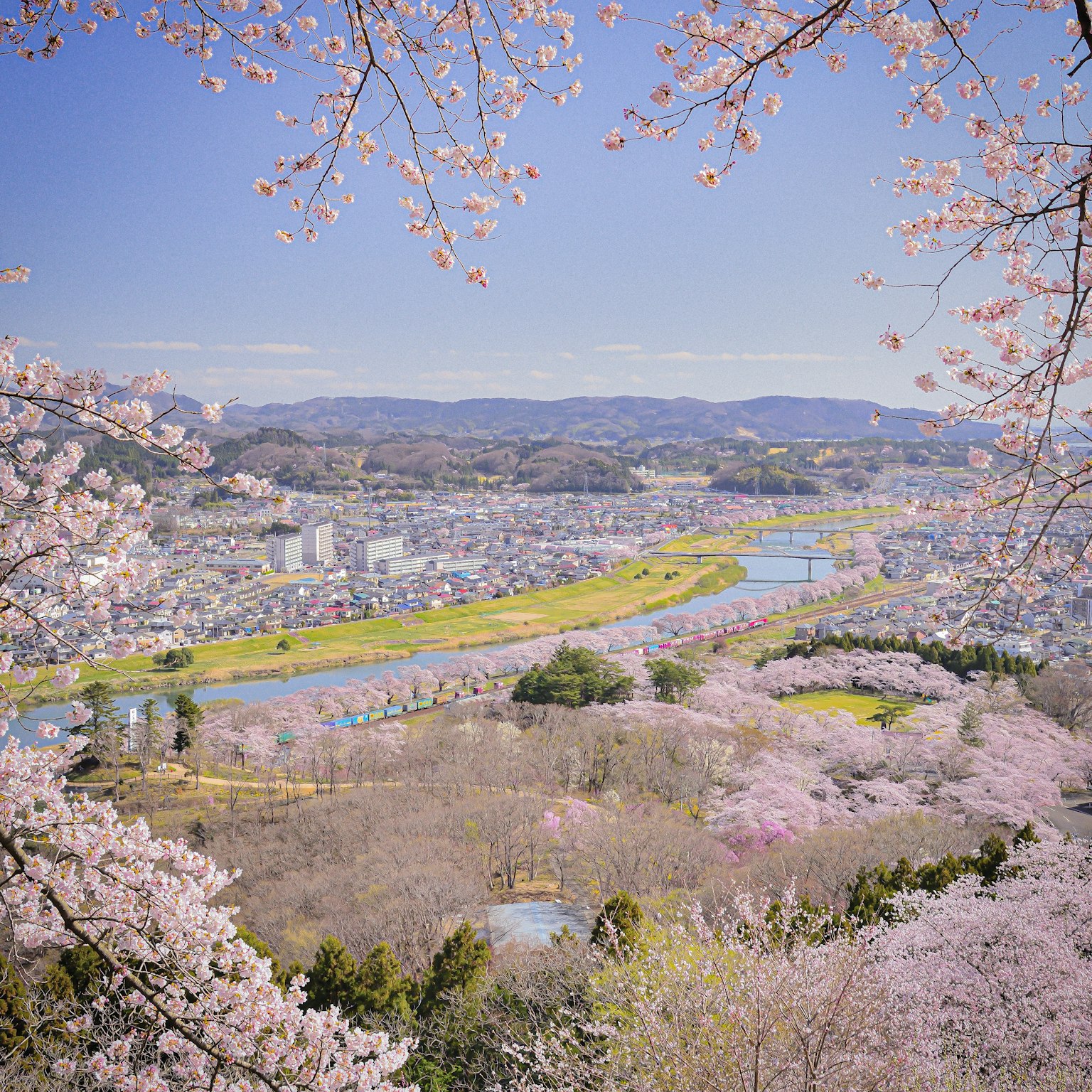 Scenic view of cherry blossoms with a river and town