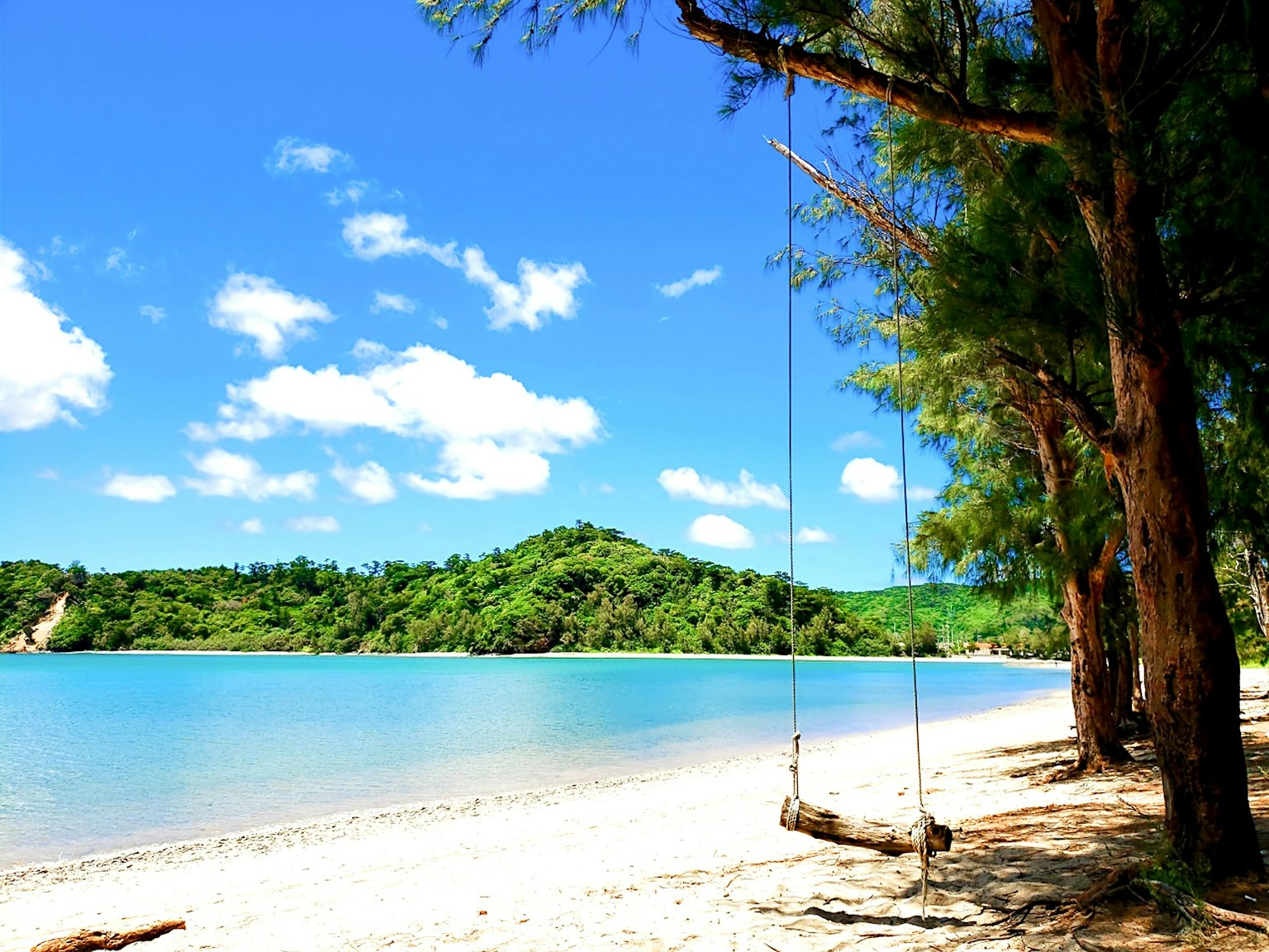 Ayunan yang tergantung di pohon di pantai indah dengan air biru dan pasir putih