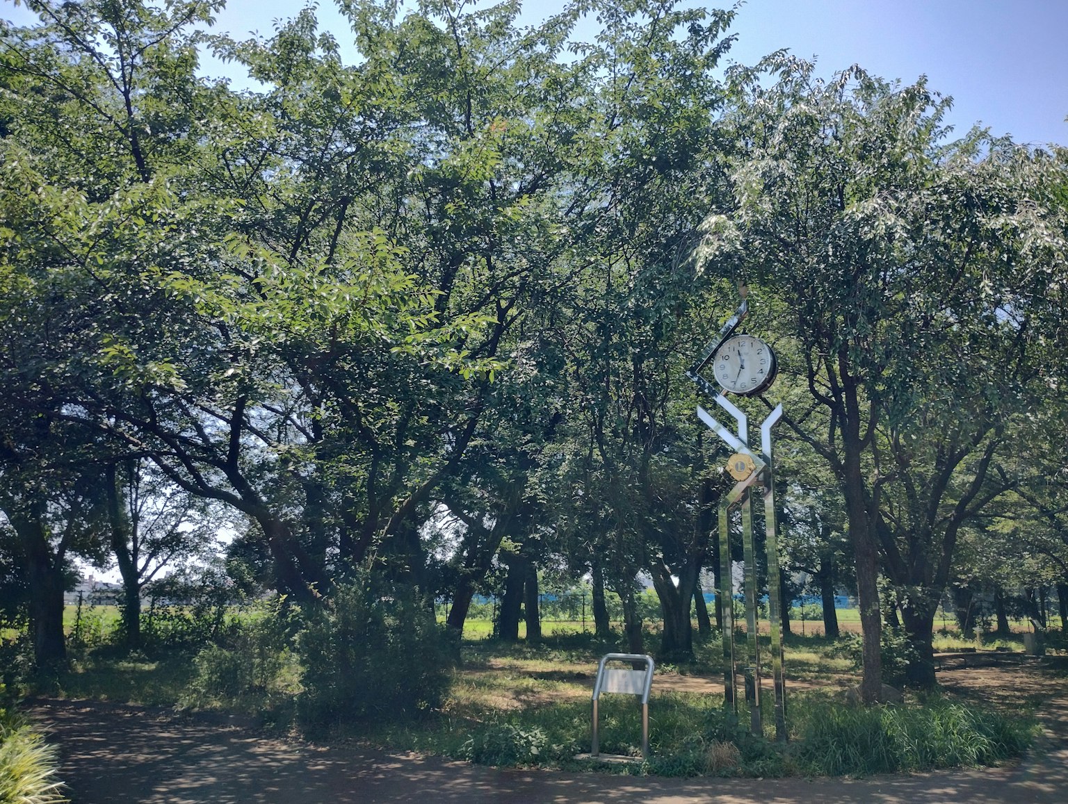 Una escena de parque rodeada de árboles verdes exuberantes con una casa para pájaros y un banco