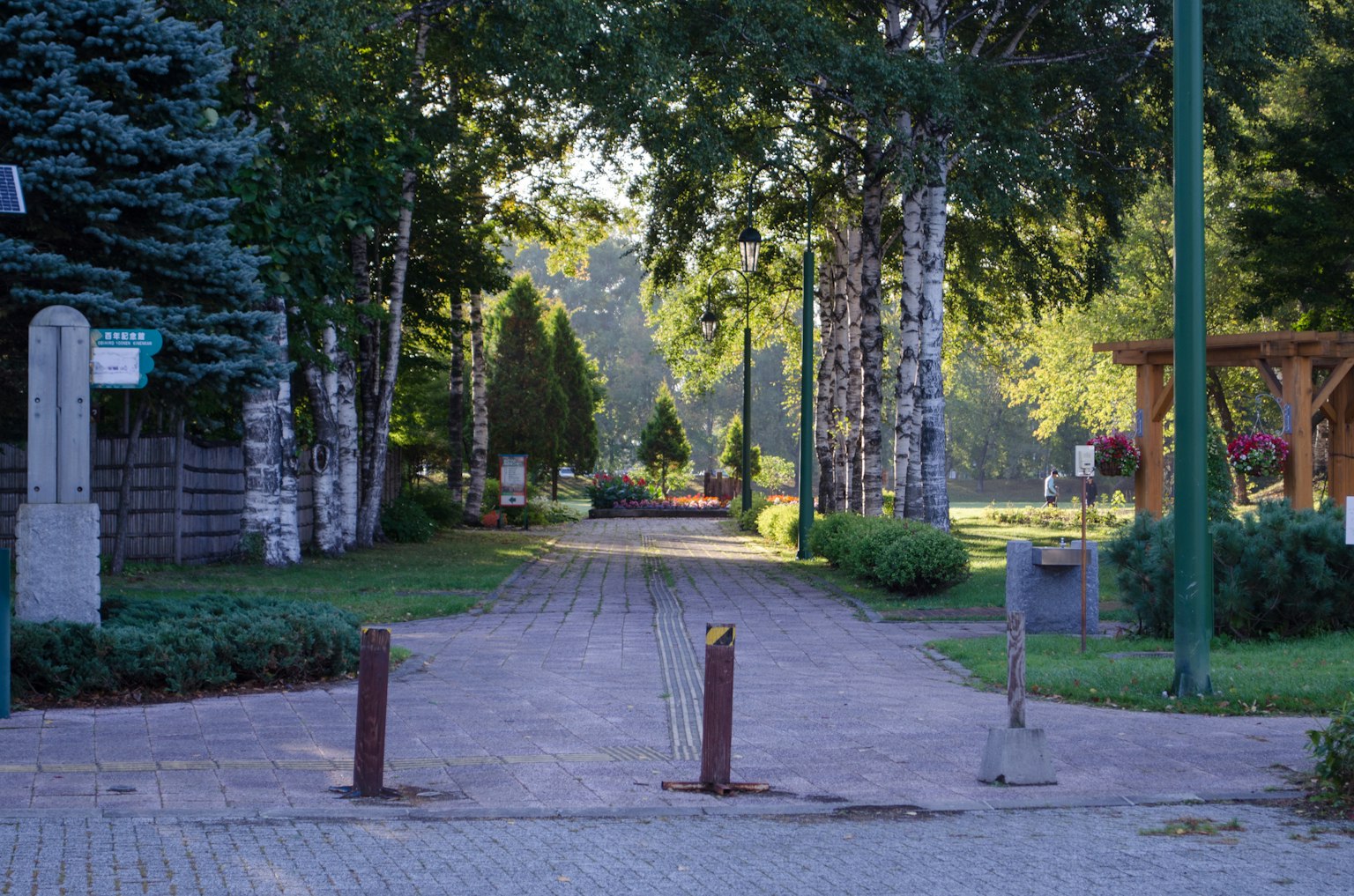 Sentiero panoramico del parco fiancheggiato da alberi e verde