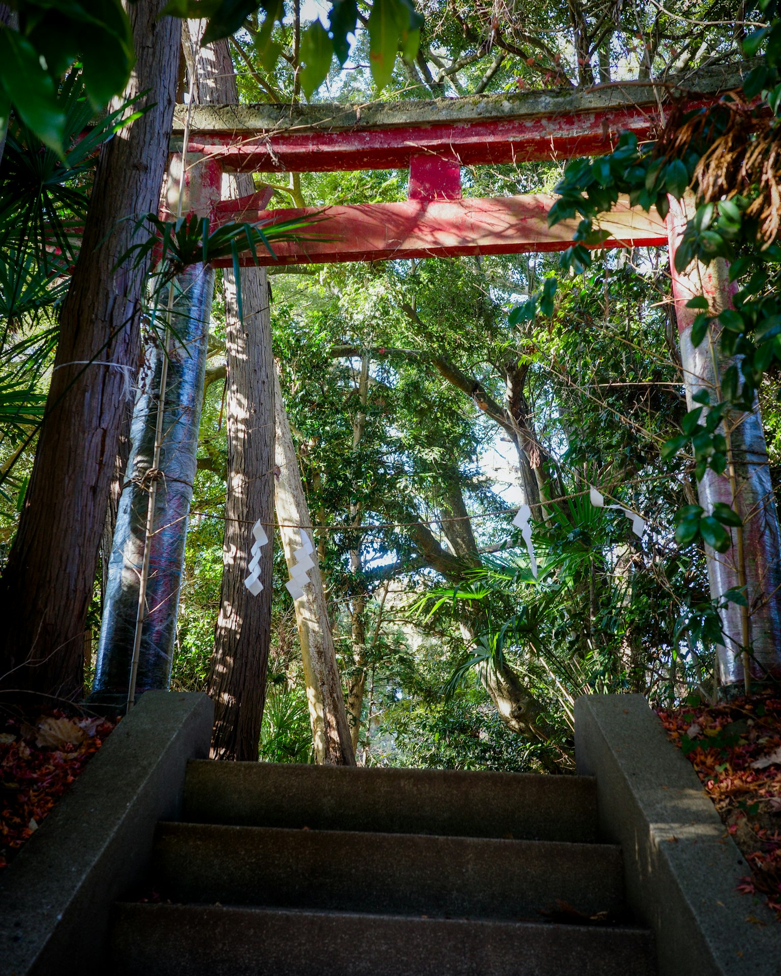 Una vista serena di un torii circondato da verde lussureggiante e scale
