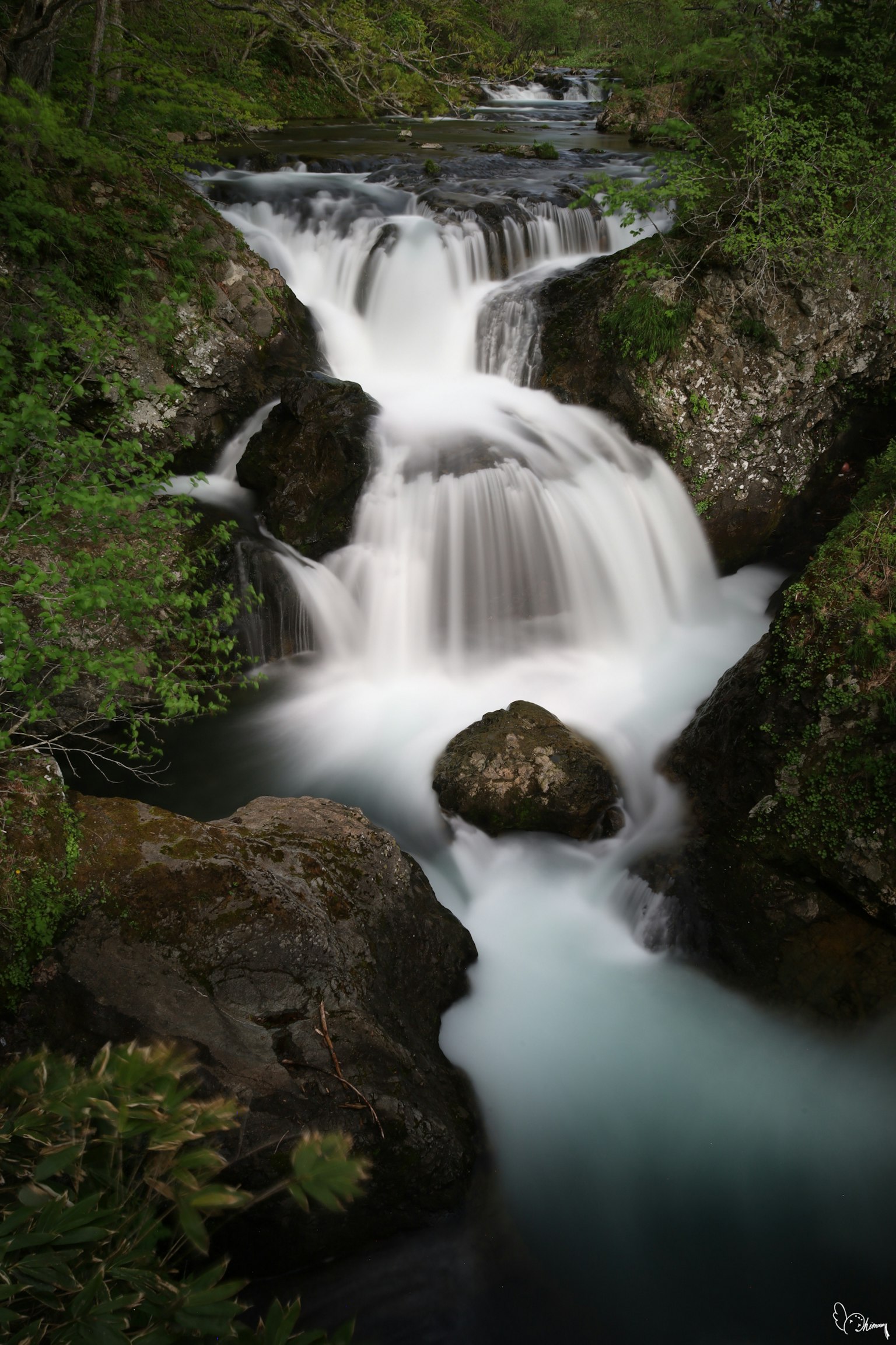 Bellissima cascata che scorre attraverso una vegetazione lussureggiante