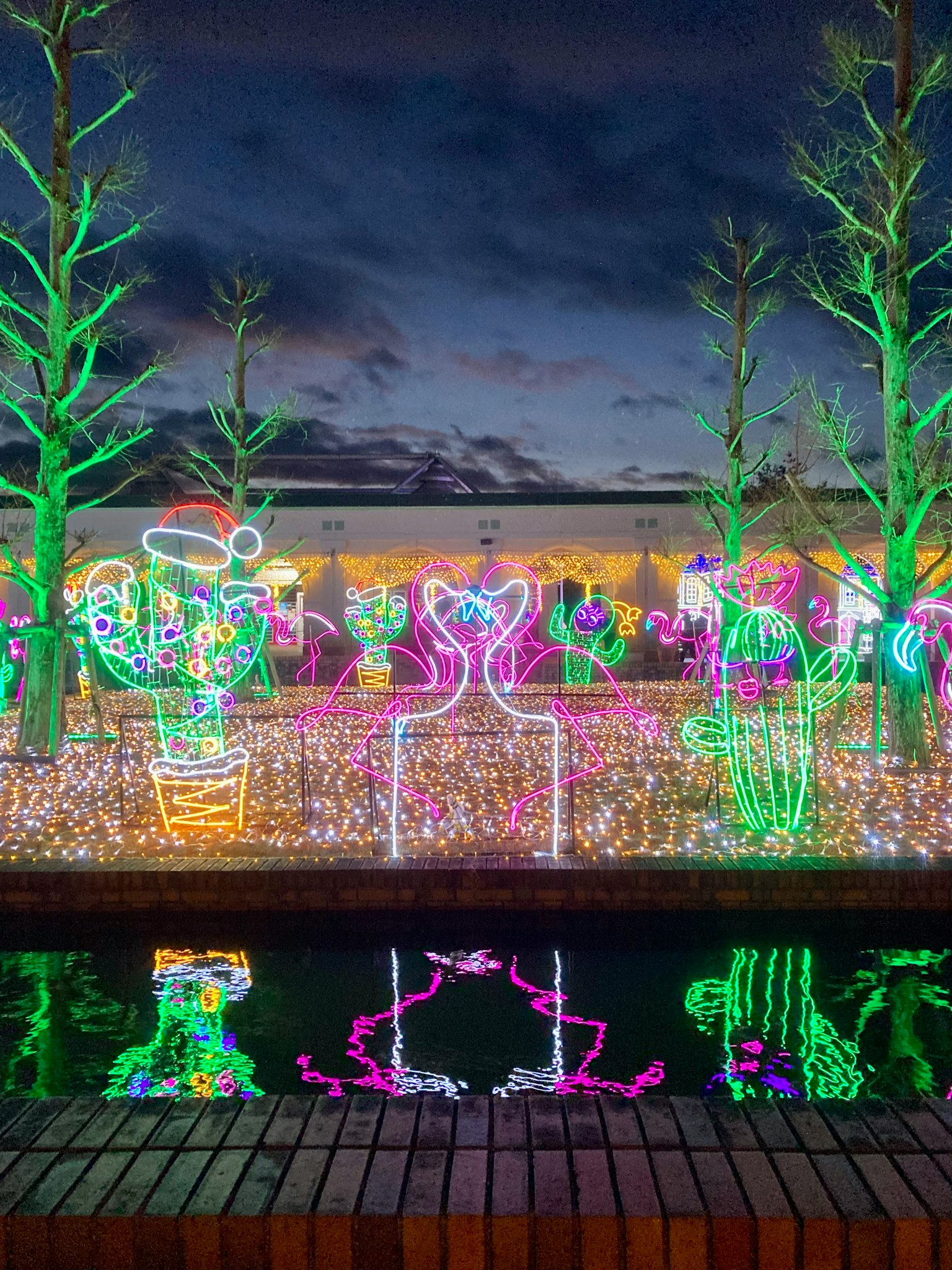 Illuminated garden at night featuring a cactus with a Santa hat and glowing cocktail glass