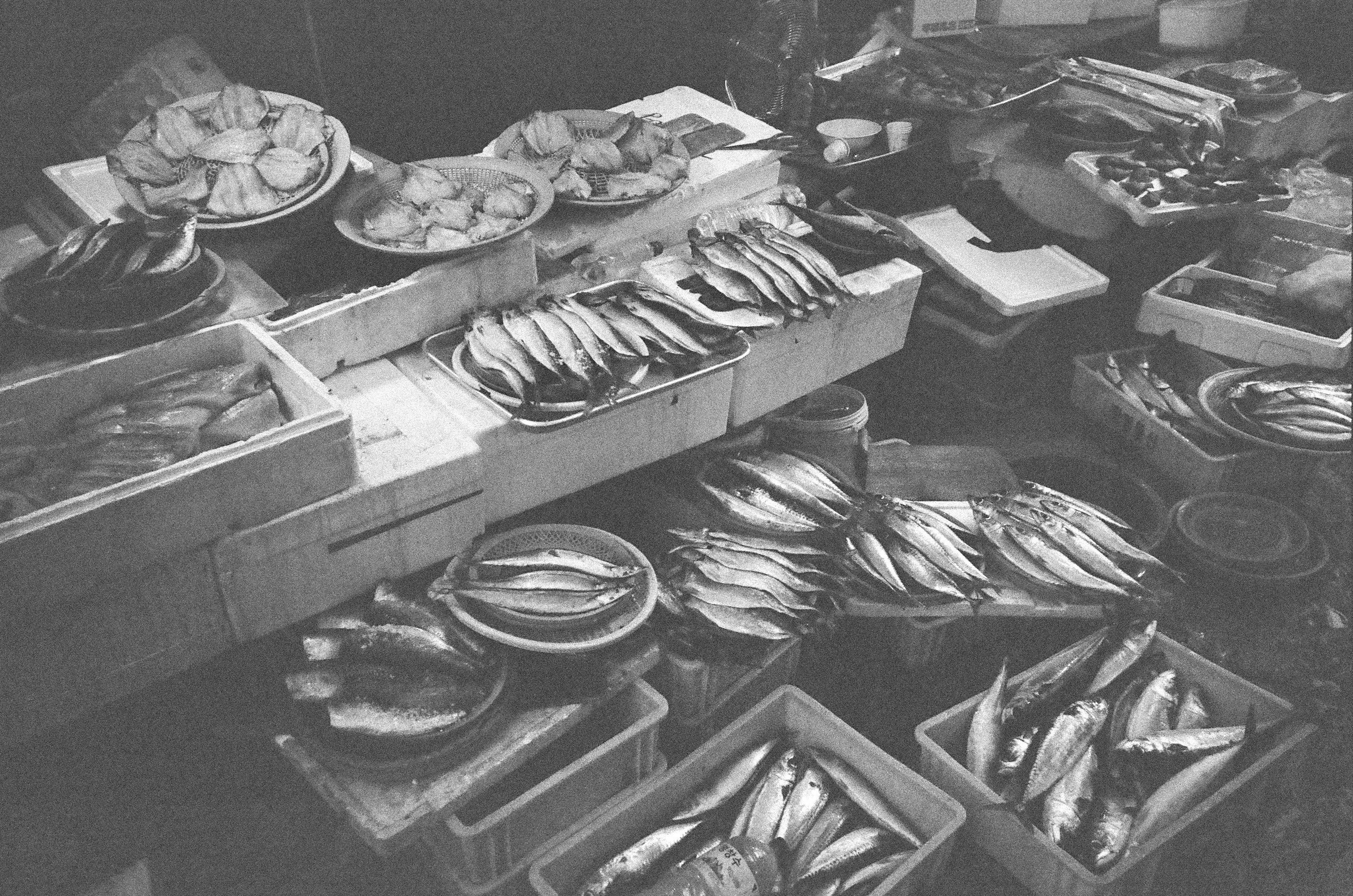 魚の切り身や干物が並ぶ魚市場の屋台のテーブル