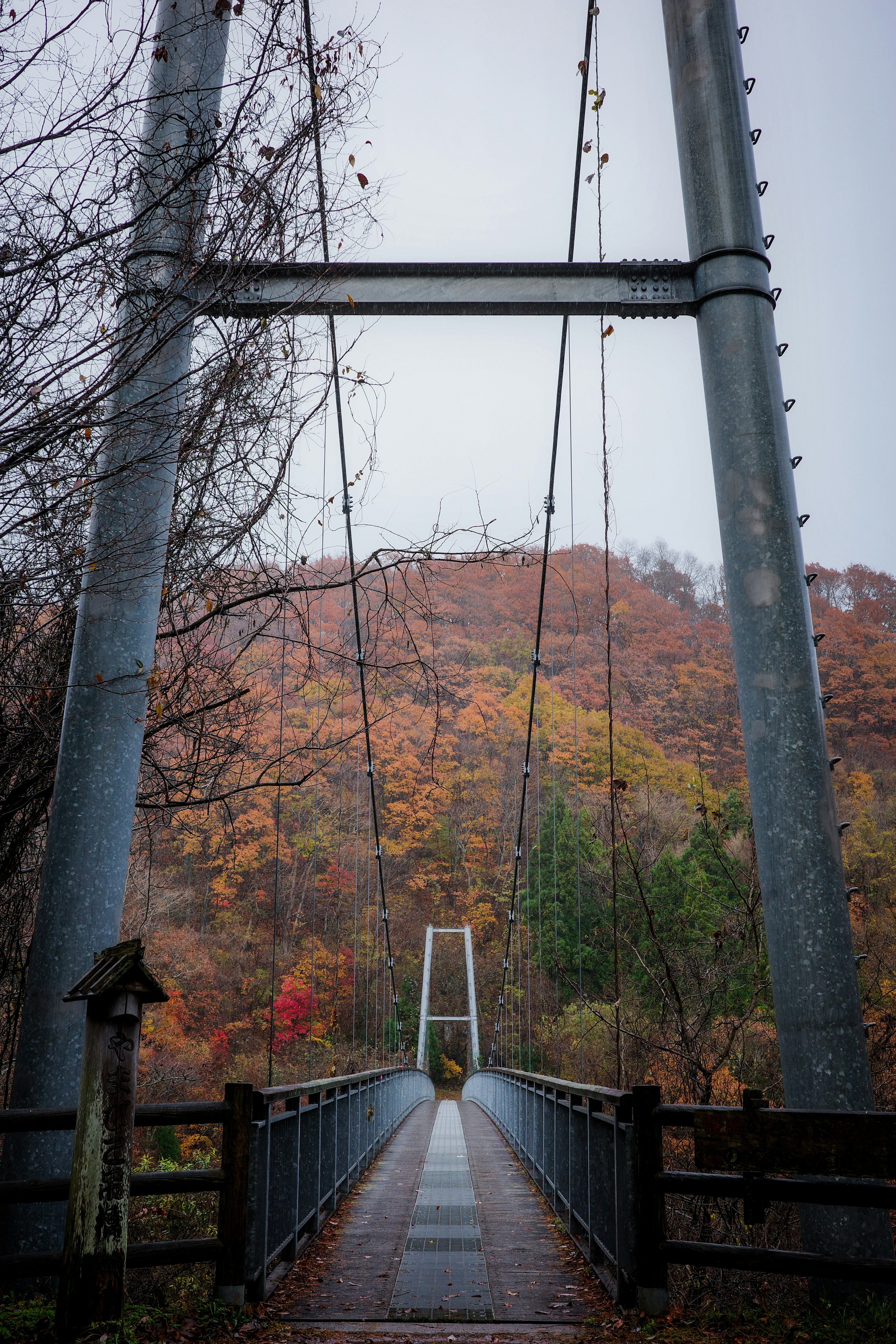 紅葉の山を望む吊り橋の遊歩道