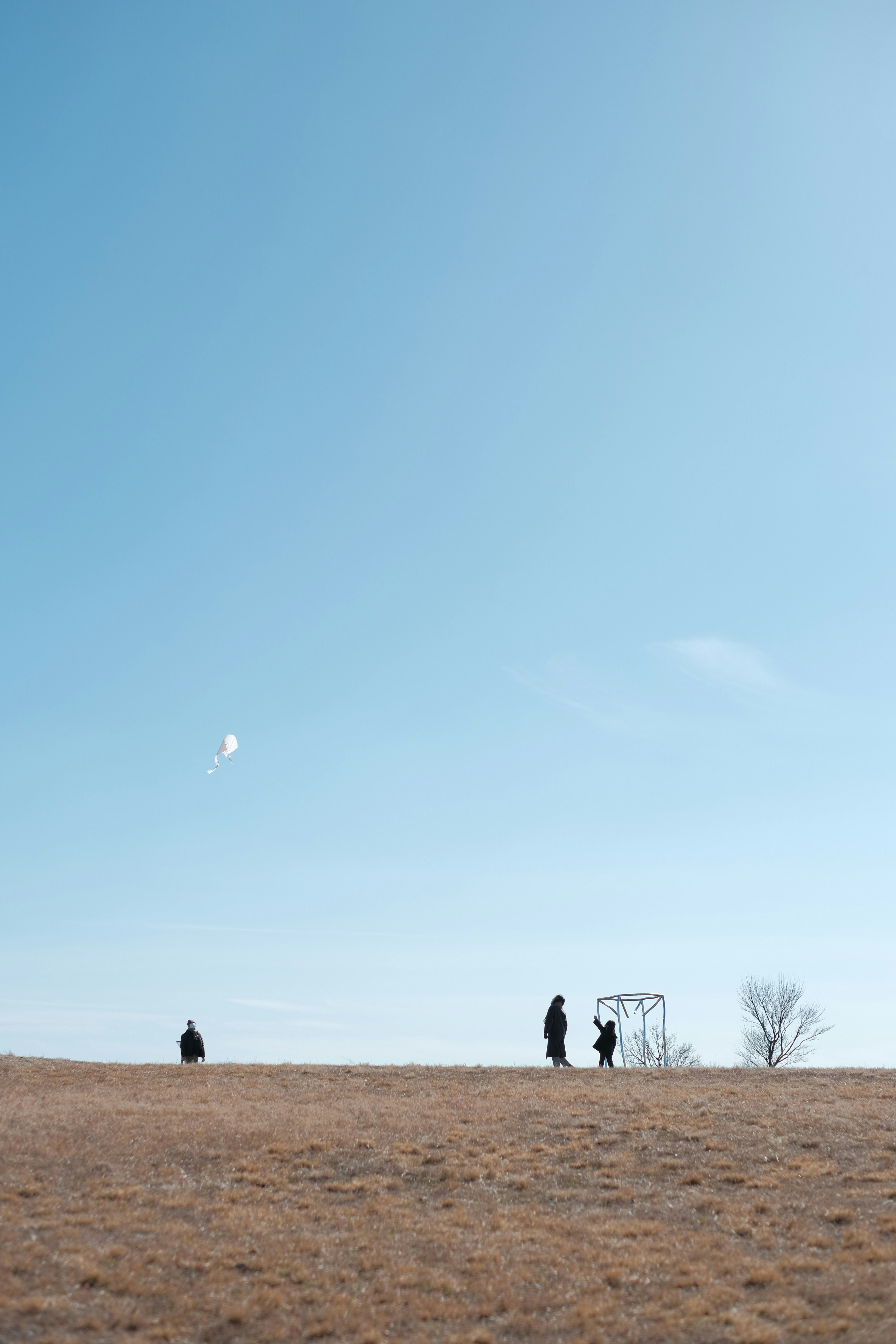 冬の丘で歩く家族のある風景
