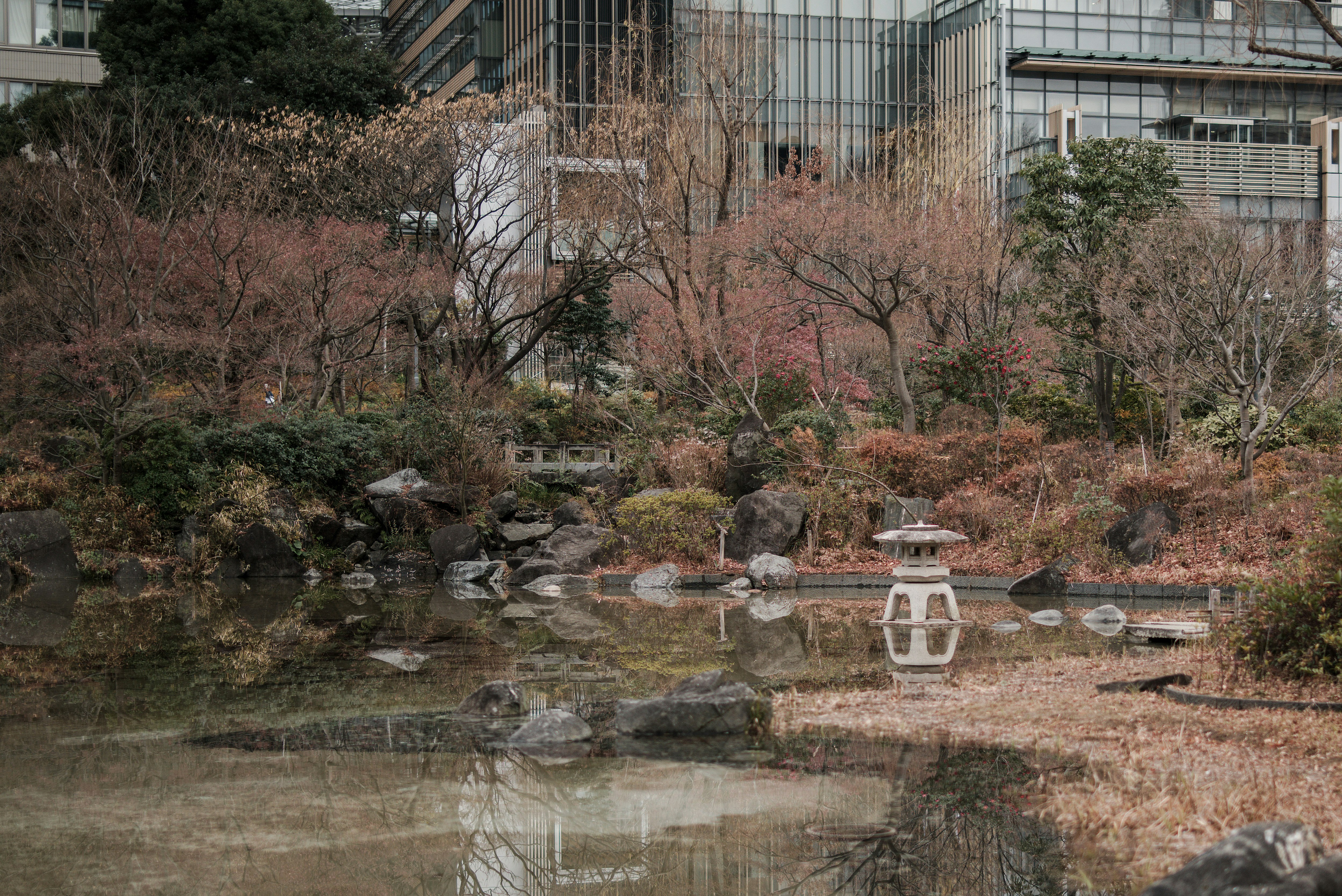 城市中的寧靜日本庭園，有池塘和石頭