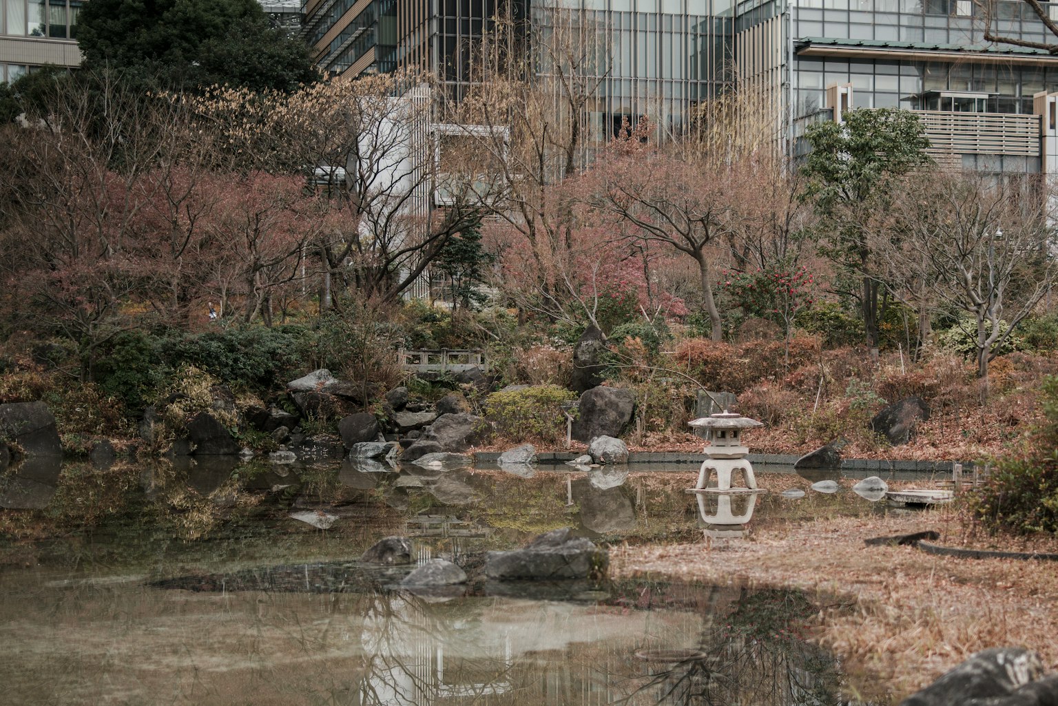 Quiet Japanese garden in the city featuring a pond and stones