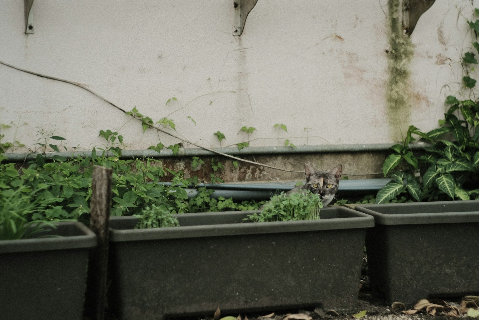 photo-puICuY8Dv8bT8XDuAiS6-image