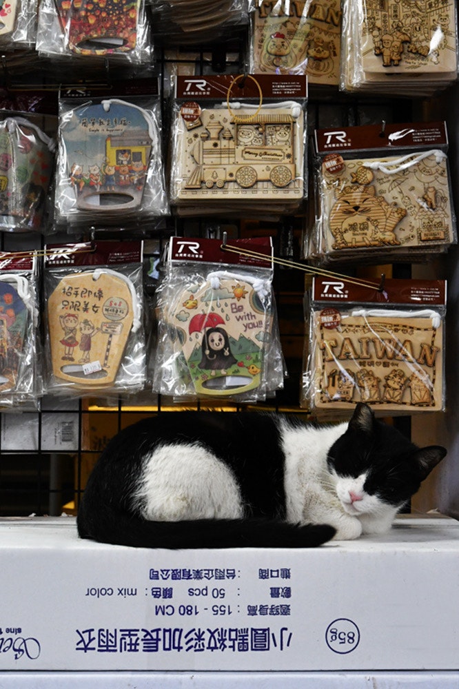 台湾の猫村の猫がいる店内で並ぶグッズの棚