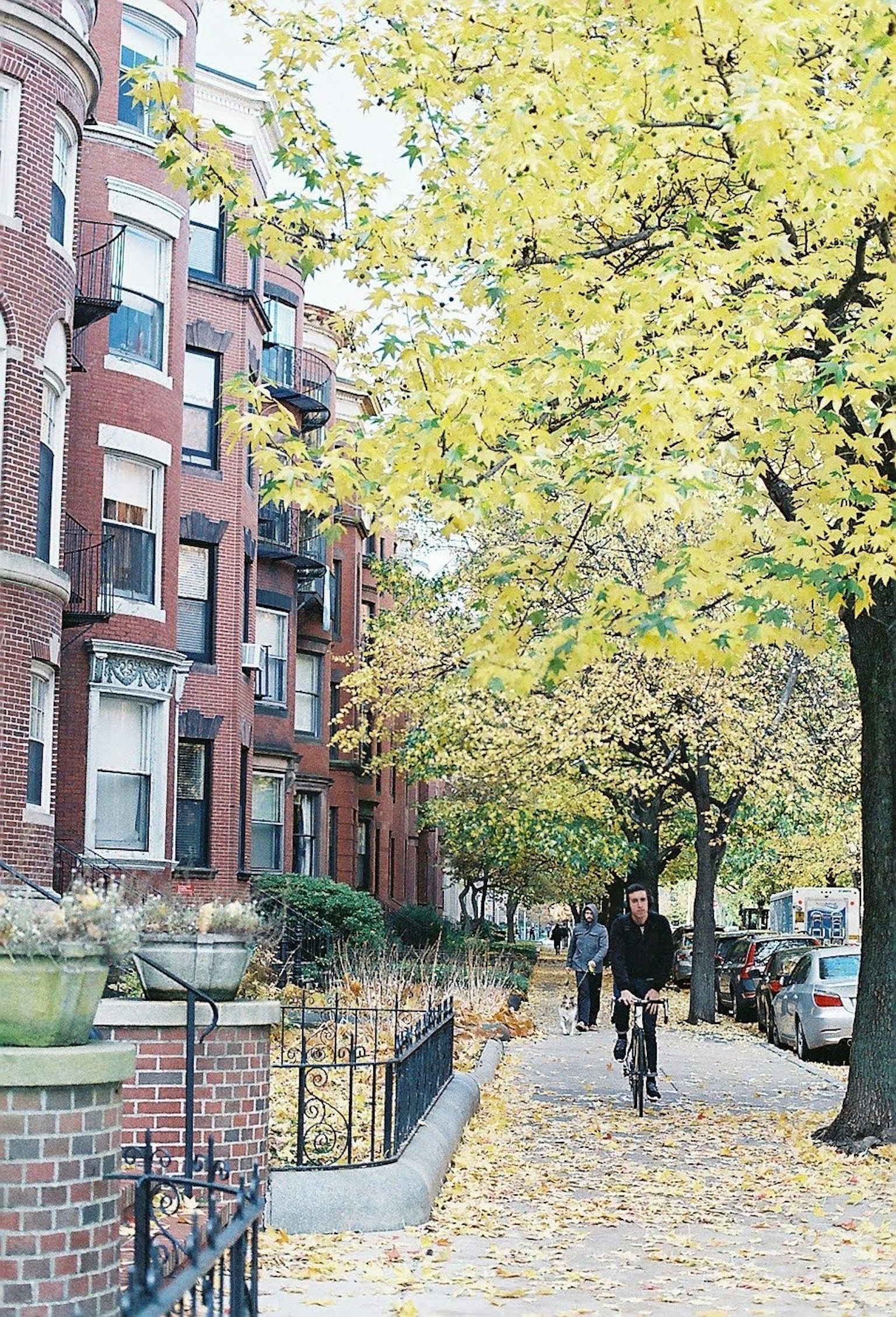 Straße gesäumt von gelben Herbstblättern und roten Ziegelgebäuden mit einer Person auf dem Fahrrad