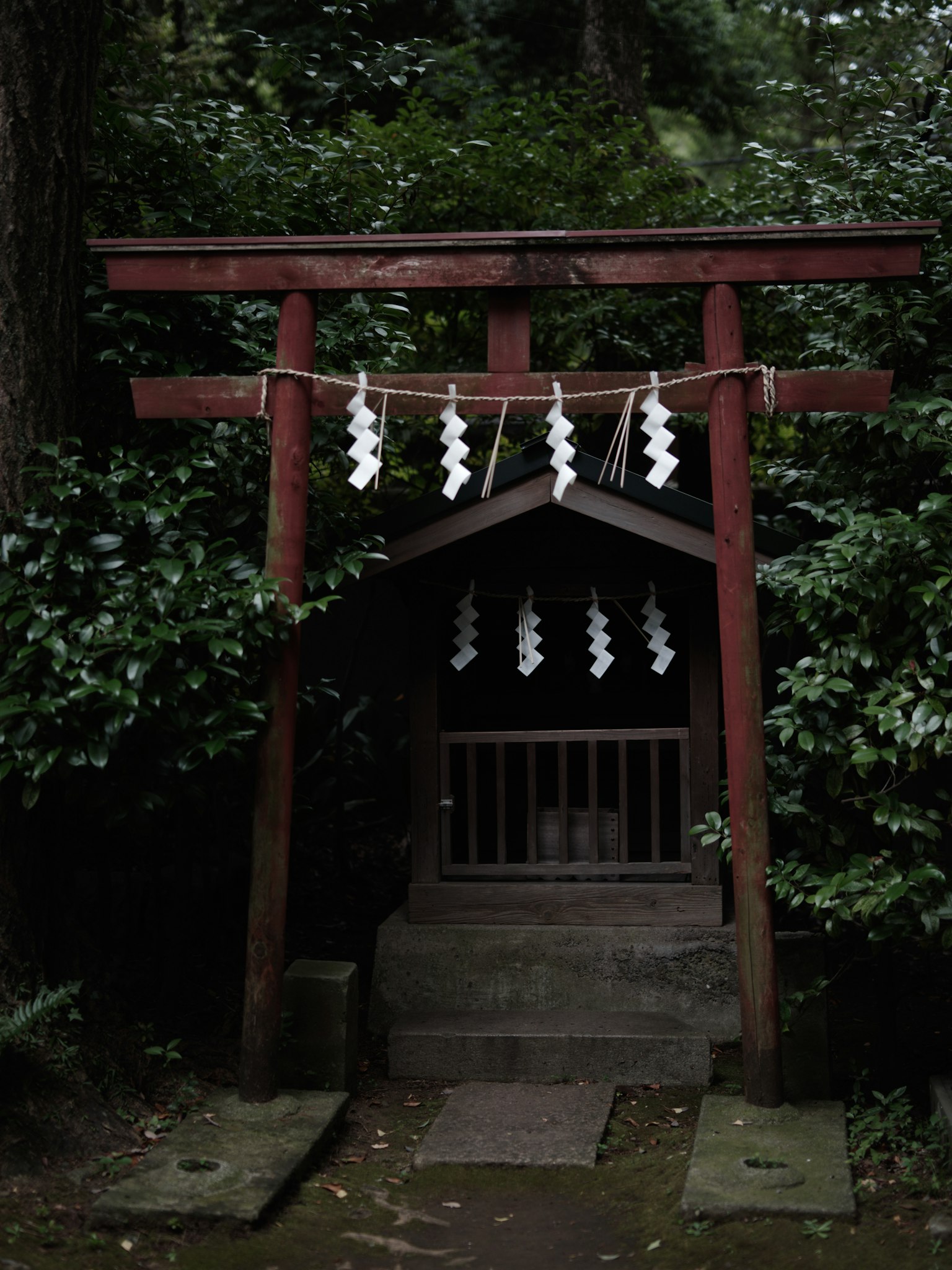 Cổng torii đỏ với một ngôi đền nhỏ được bao quanh bởi cây cối xanh tươi