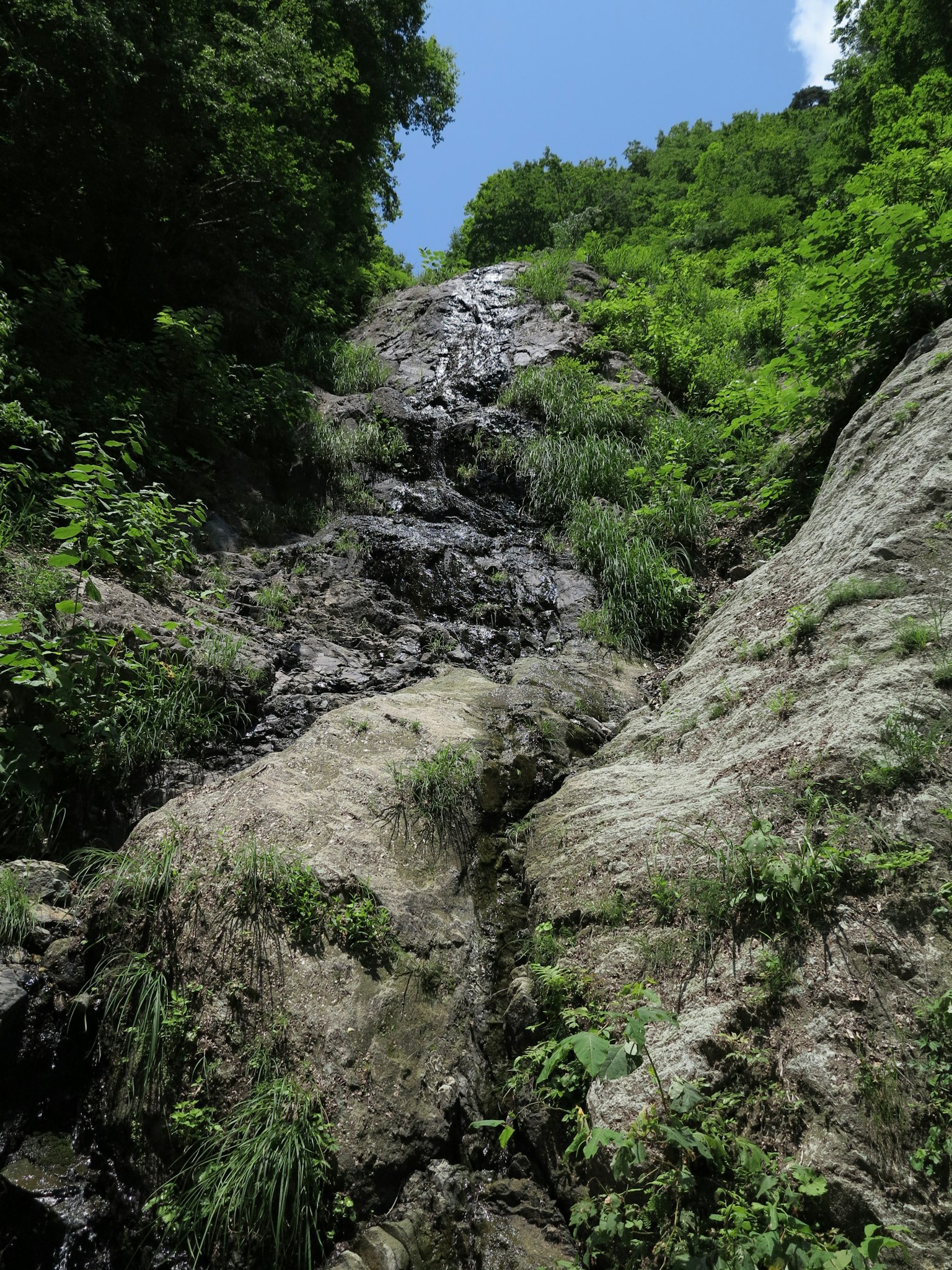 Photo d'une cascade rocheuse entourée d'arbres verts luxuriants
