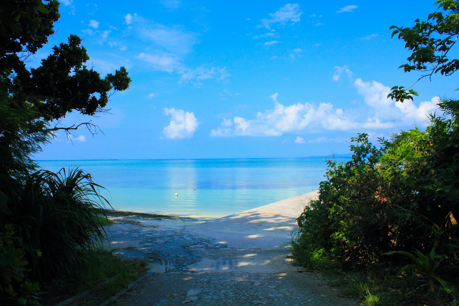 ทางเดินสู่ชายหาดที่มีทะเลและท้องฟ้าสีฟ้า