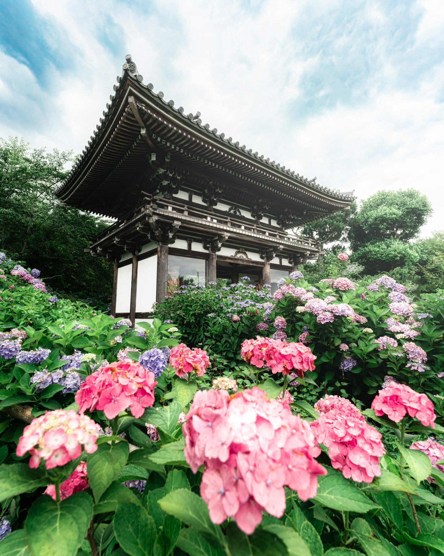 Bâtiment traditionnel japonais entouré de belles fleurs