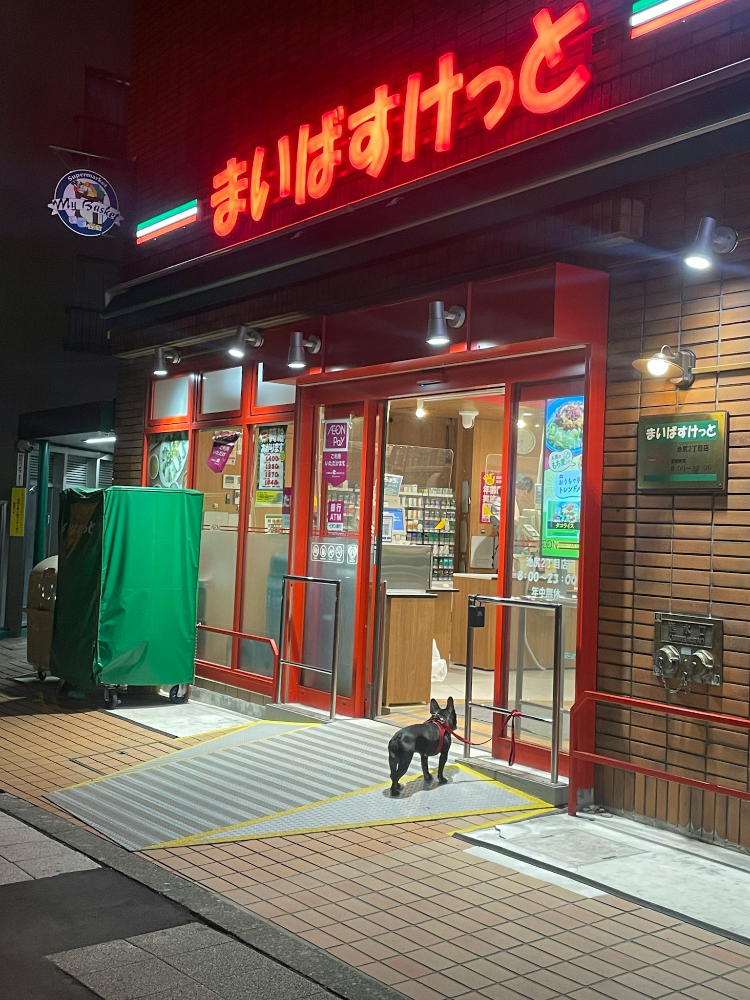 夜间便利店前的狗和红色招牌