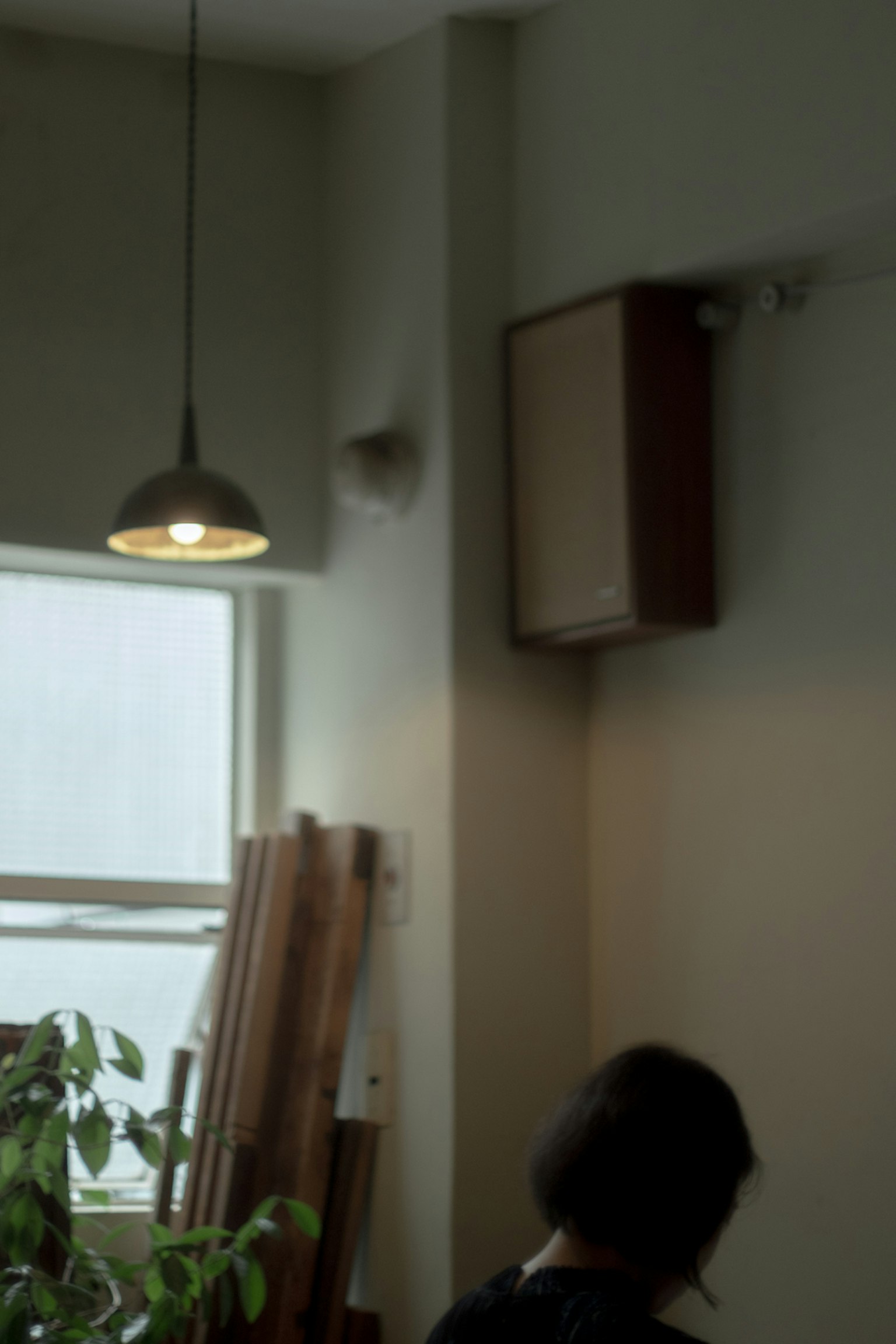 Simple interior of a room with green walls pendant light wooden shelf potted plant natural light from window