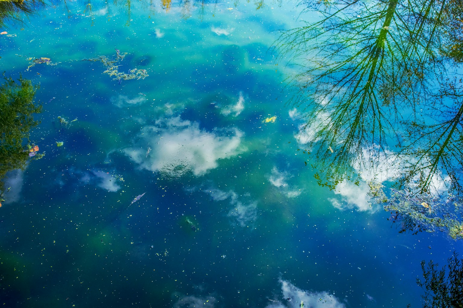 Superficie de agua azul reflejando nubes y sombras de árboles