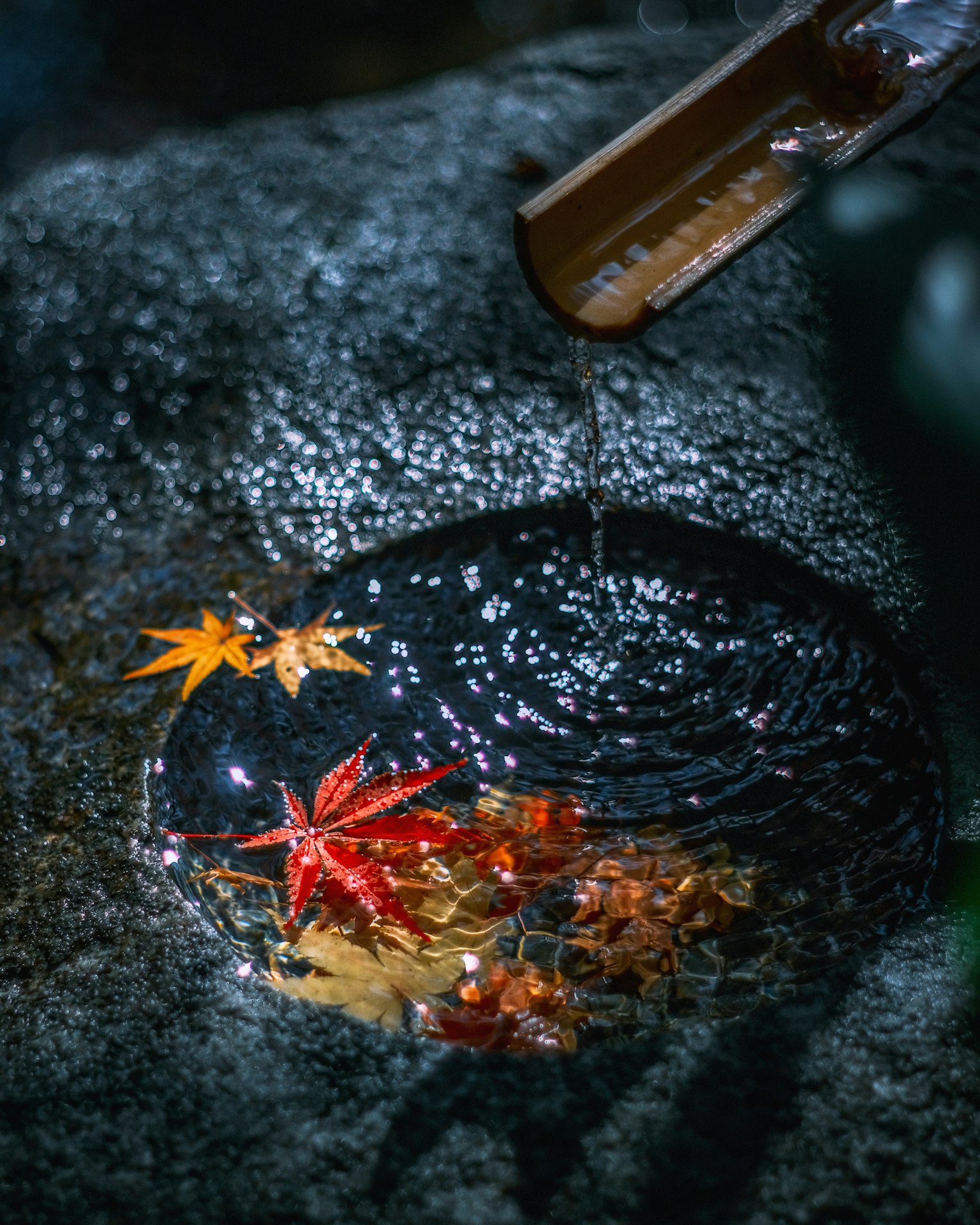 Eine ruhige Szene mit Herbstblättern auf einem Stein und Wassertropfen