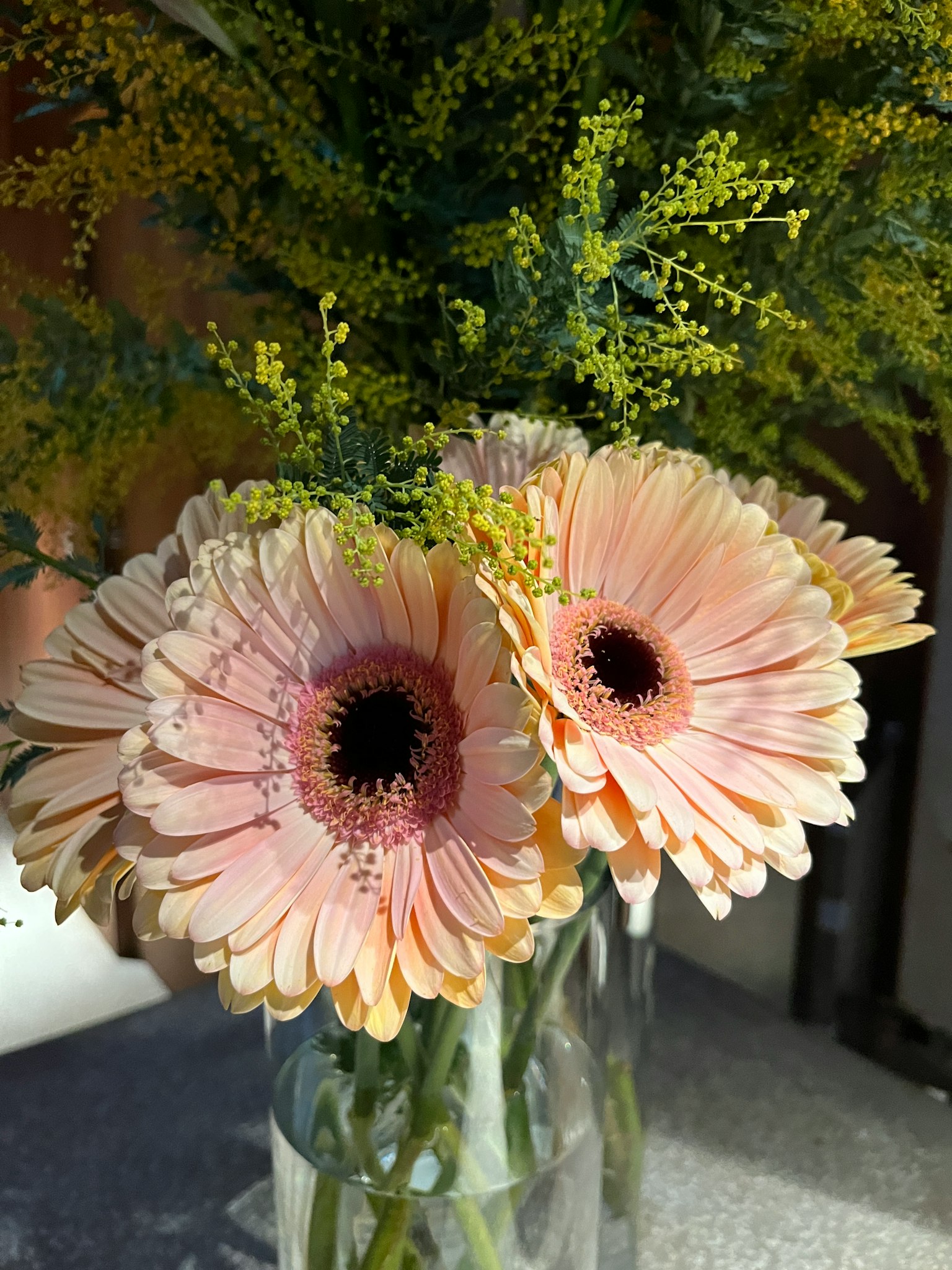 Margaritas gerbera rosas con follaje verde en un jarrón