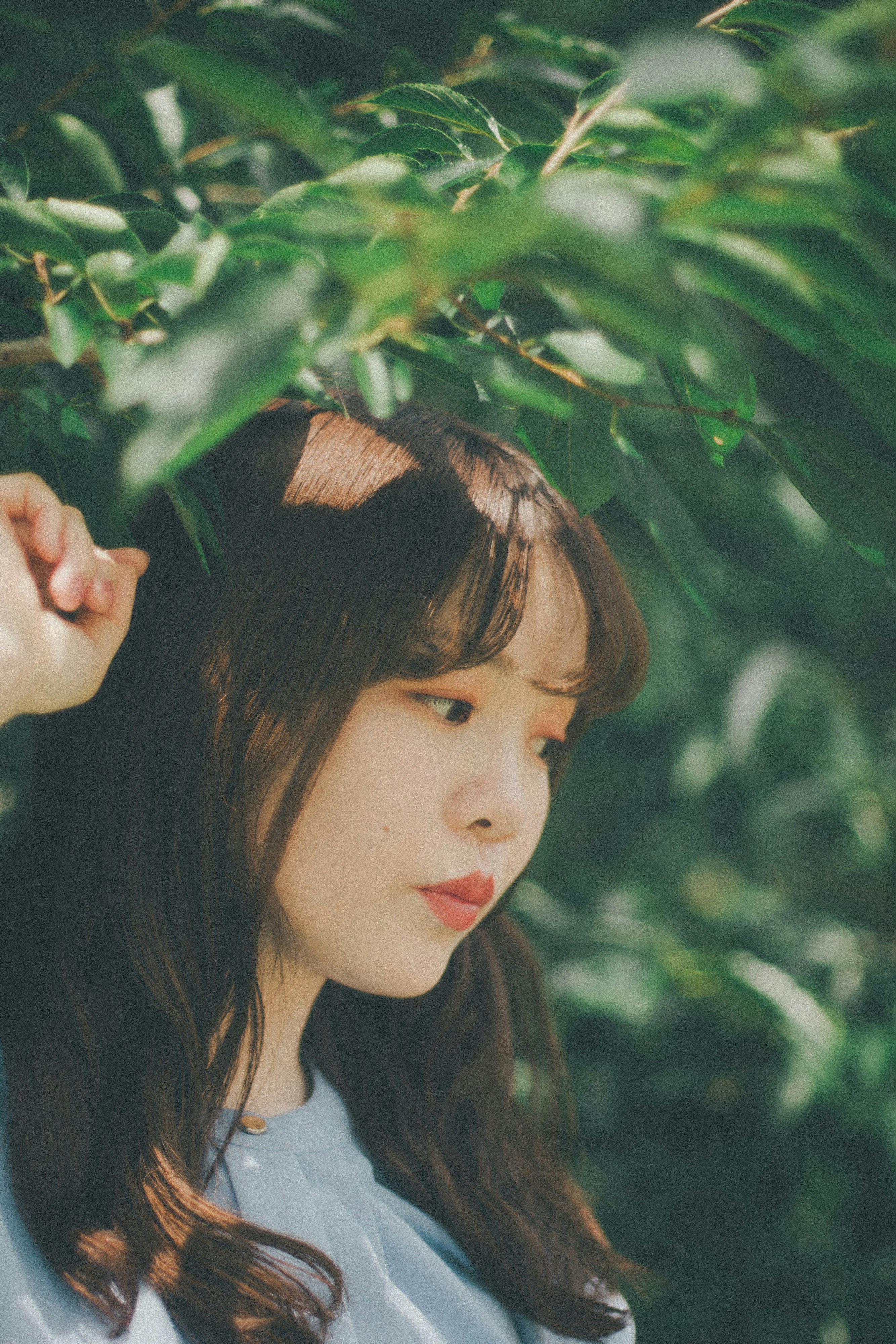 나뭇잎 사이에 둘러싸인 여성의 옆모습