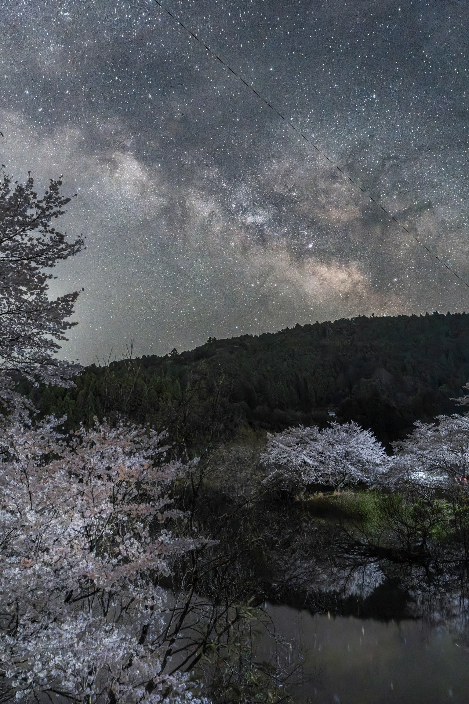 photo-pwmUCOlmdsfmIZ0lPDJf-image