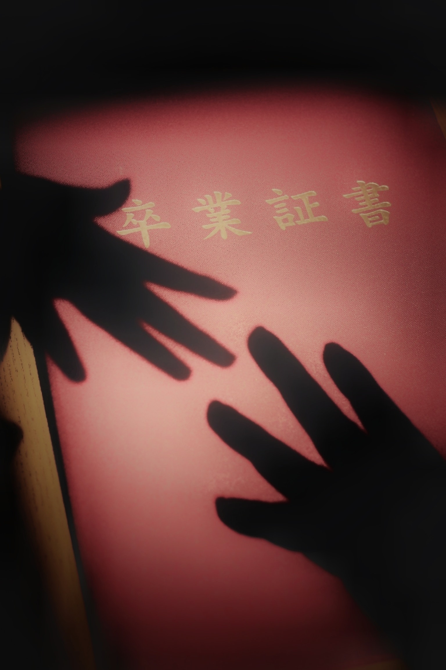 手的轮廓伸向一本有金色文字的书