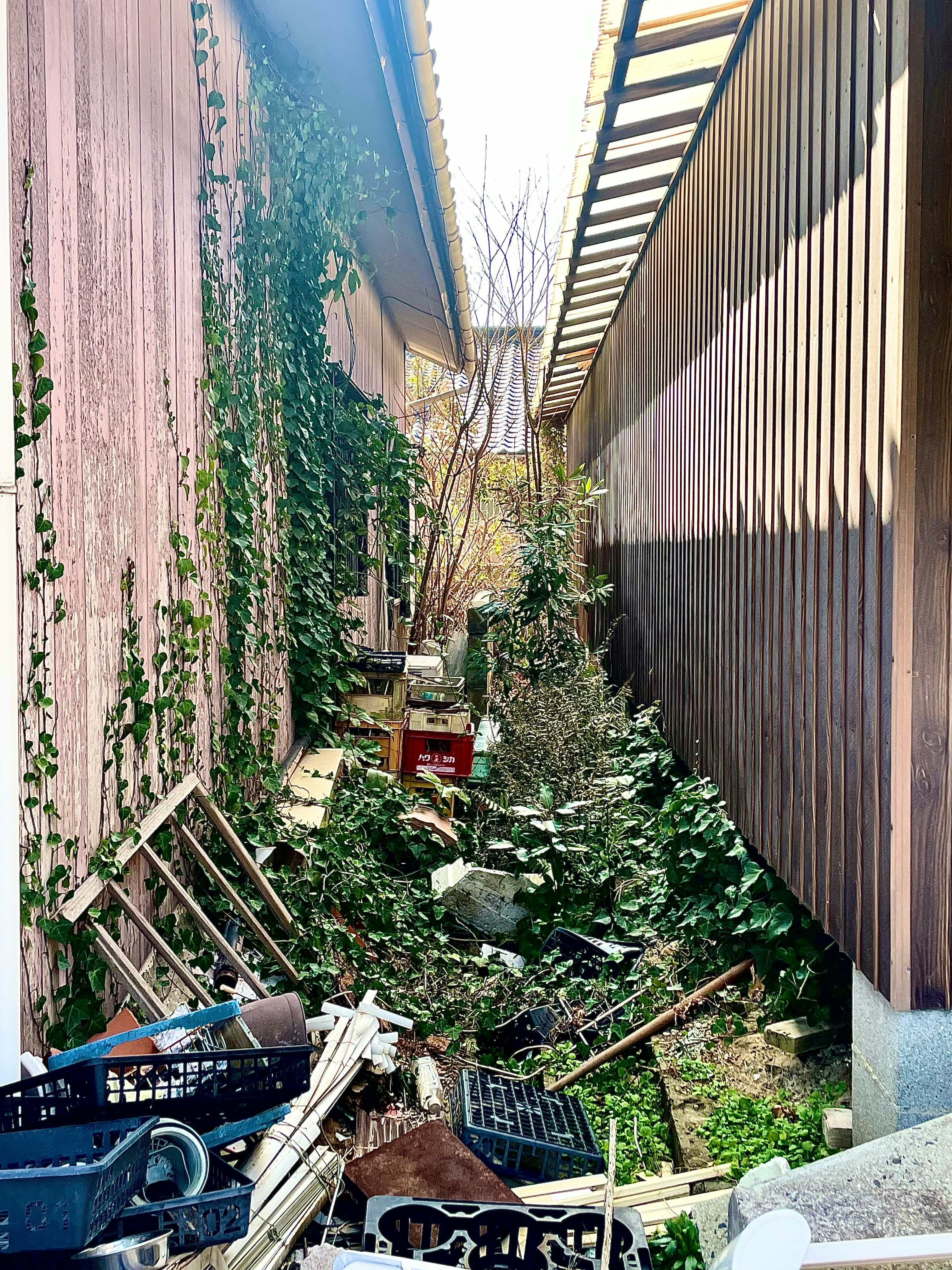 narrow alley with bicycles and greenery along the walls
