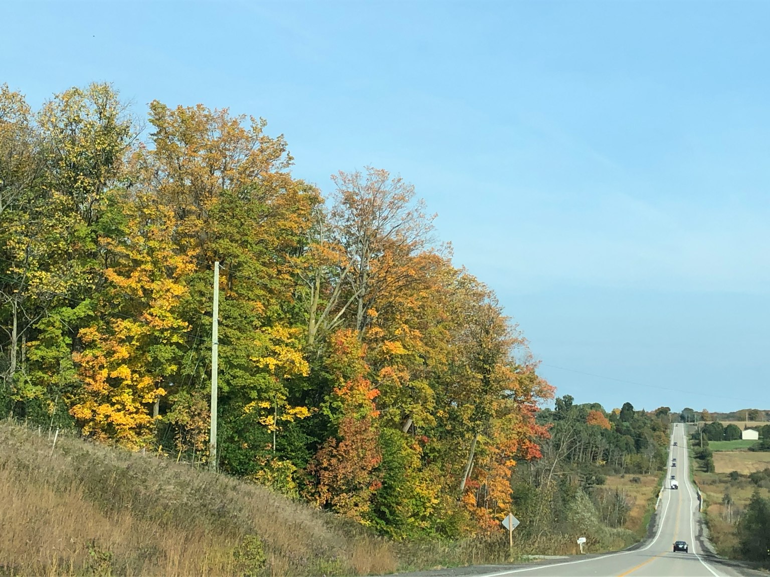 Vista escénica de una carretera flanqueada por árboles de otoño