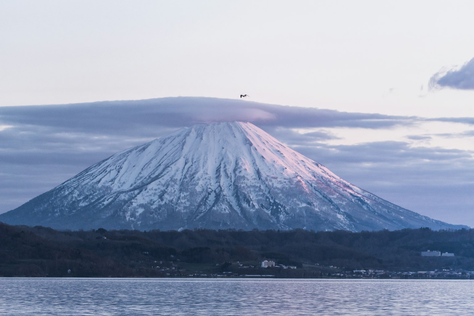 photo-pxJ4Zok35EJMoXwWLumI-image