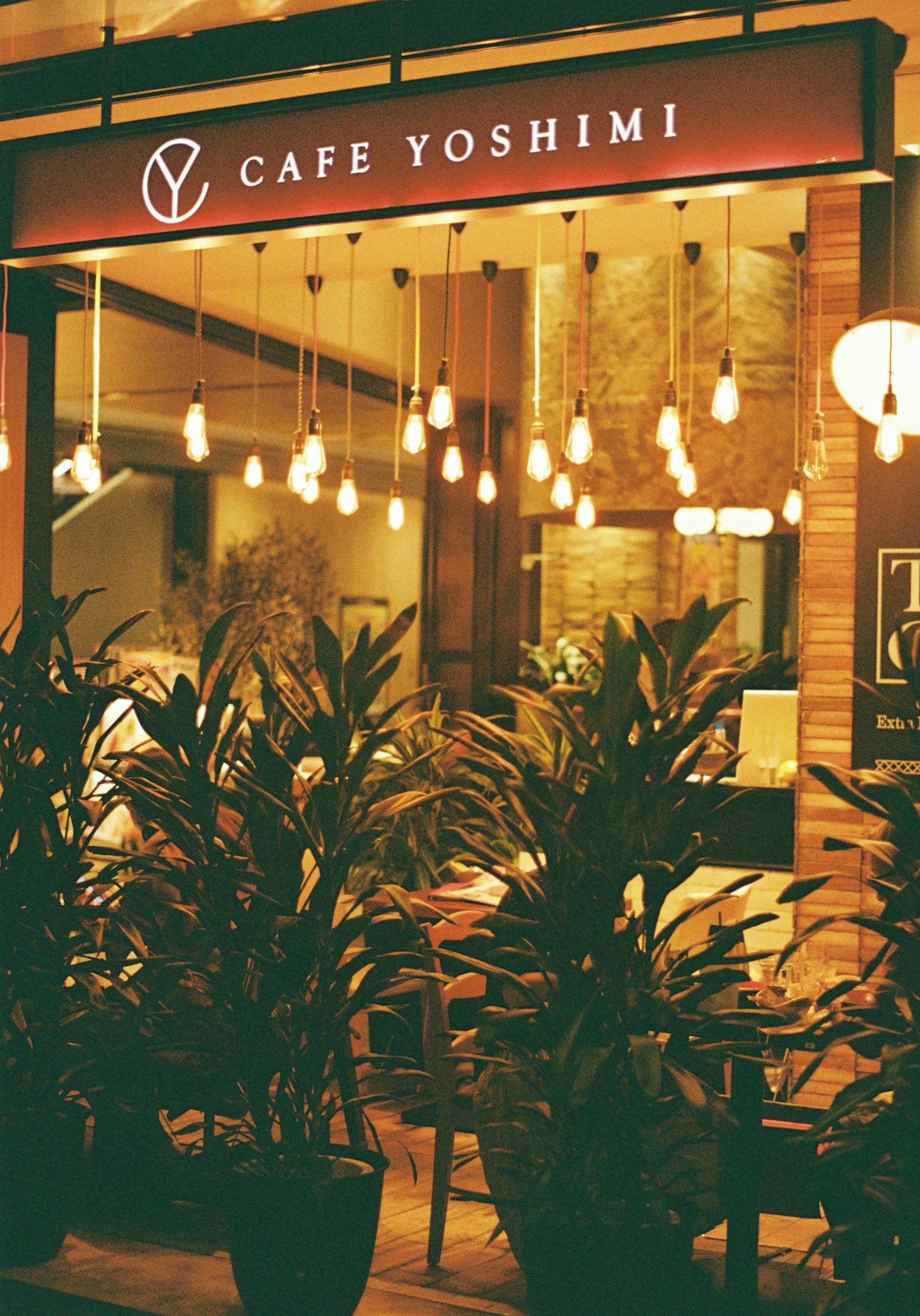 カフェヨシミの外観 植物が並ぶ入り口 明るい照明