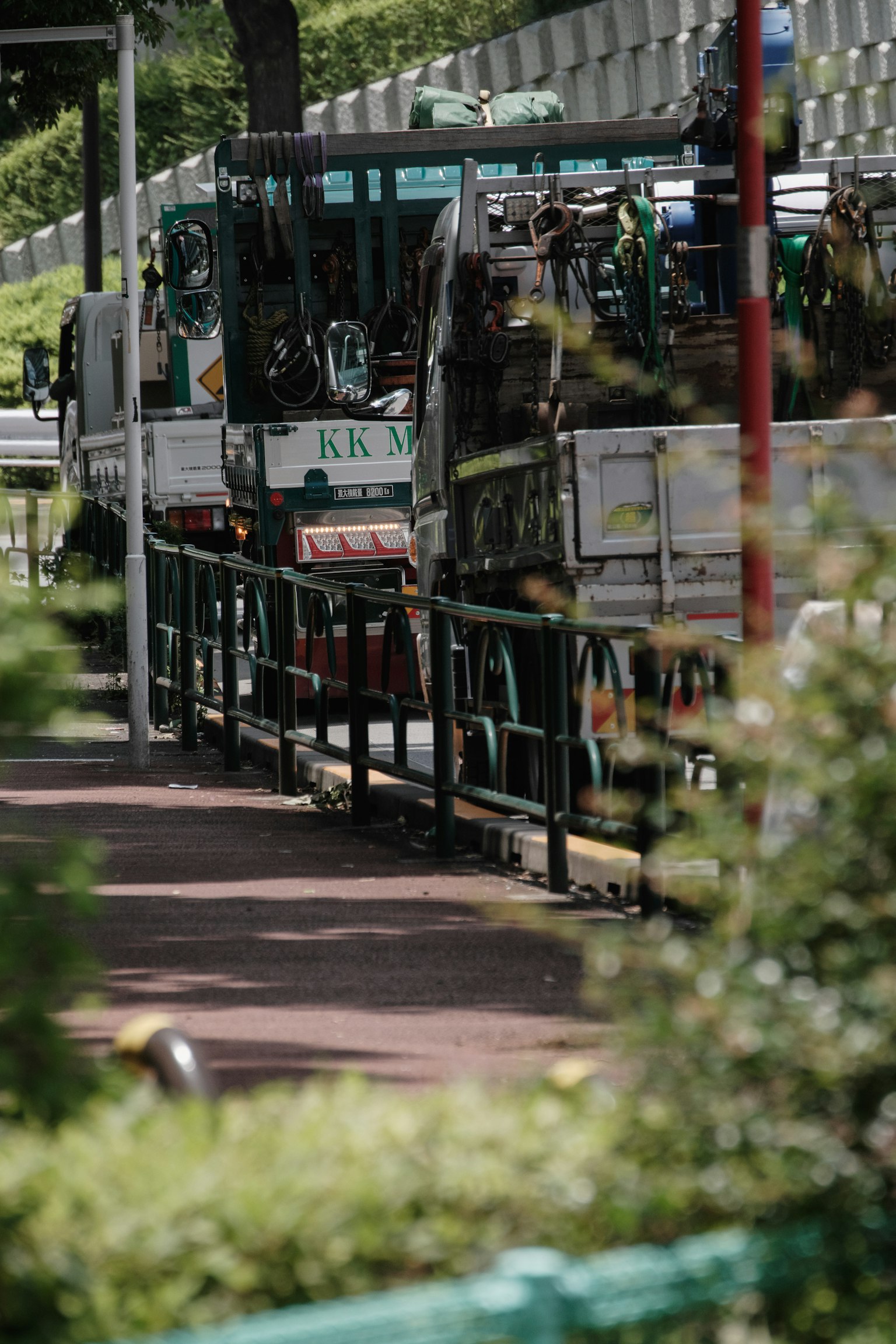 Buses lined up near a bus stop with green foliage