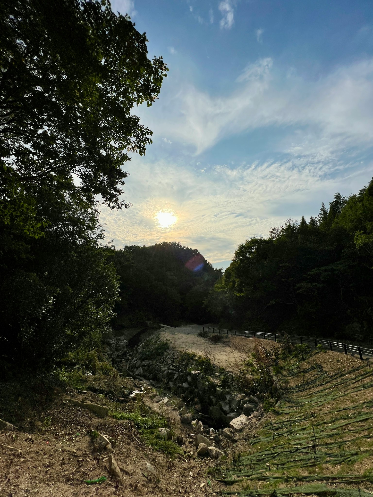 Paesaggio al tramonto con alberi verdi e un fiume