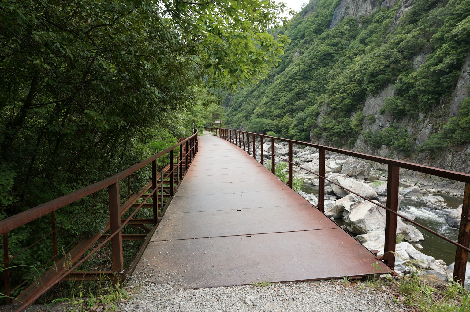 An old metal bridge surrounded by greenery over a river