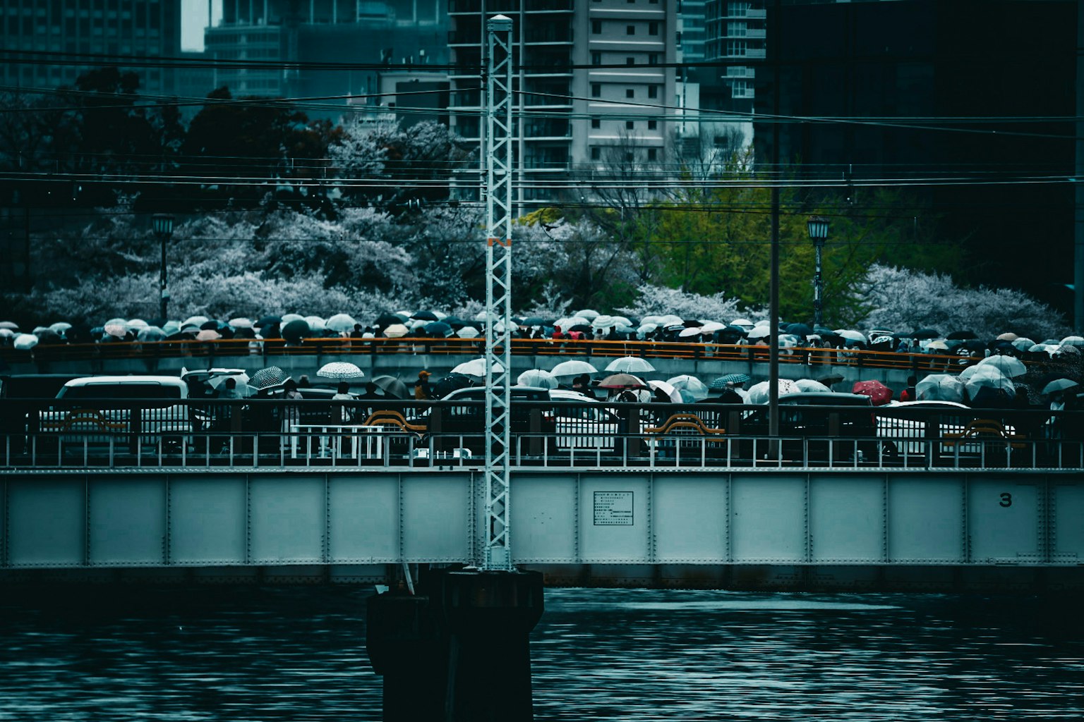 橋上有撐傘的人的風景