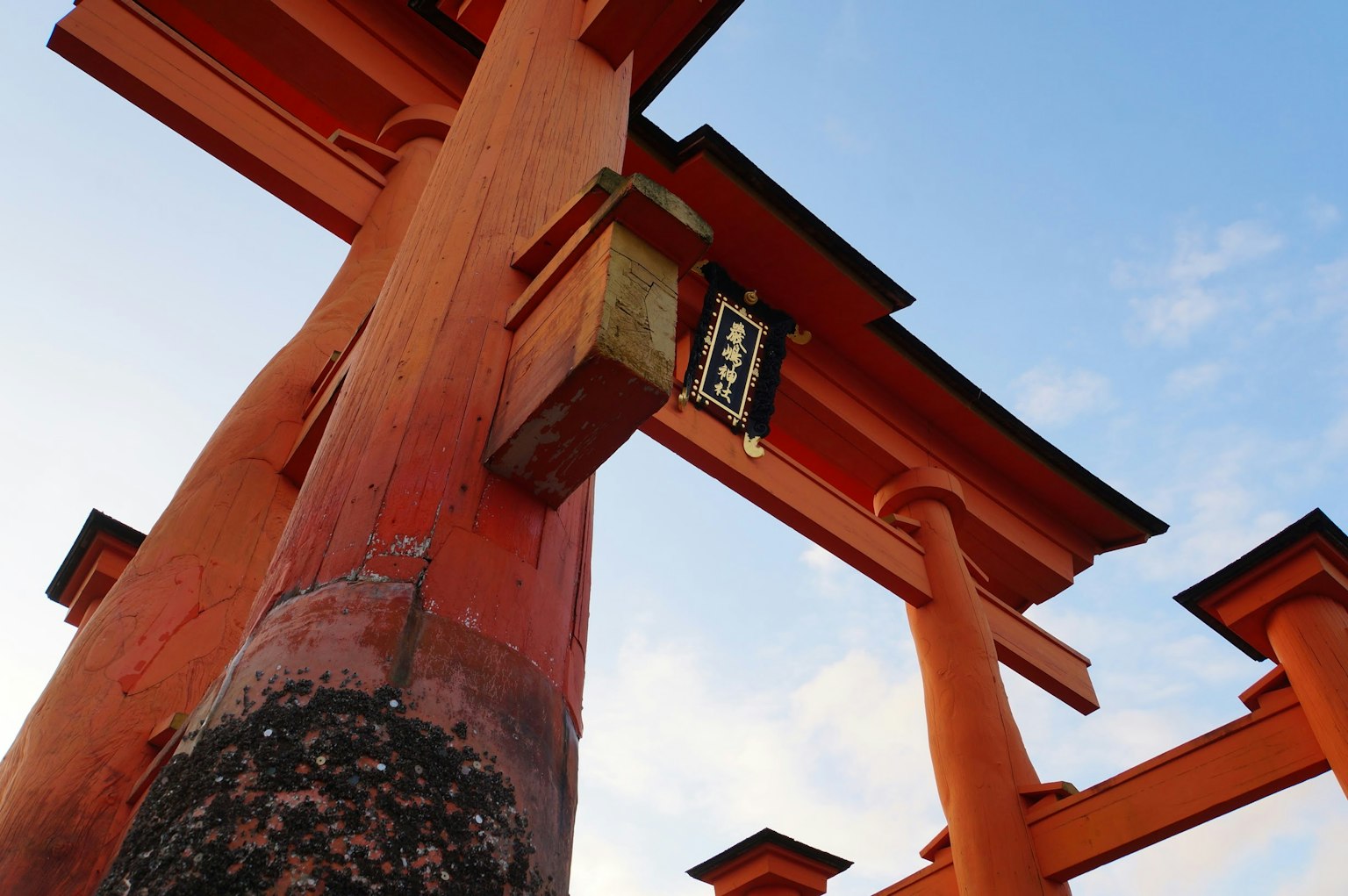 Vista di un torii rosso dal basso con cielo blu