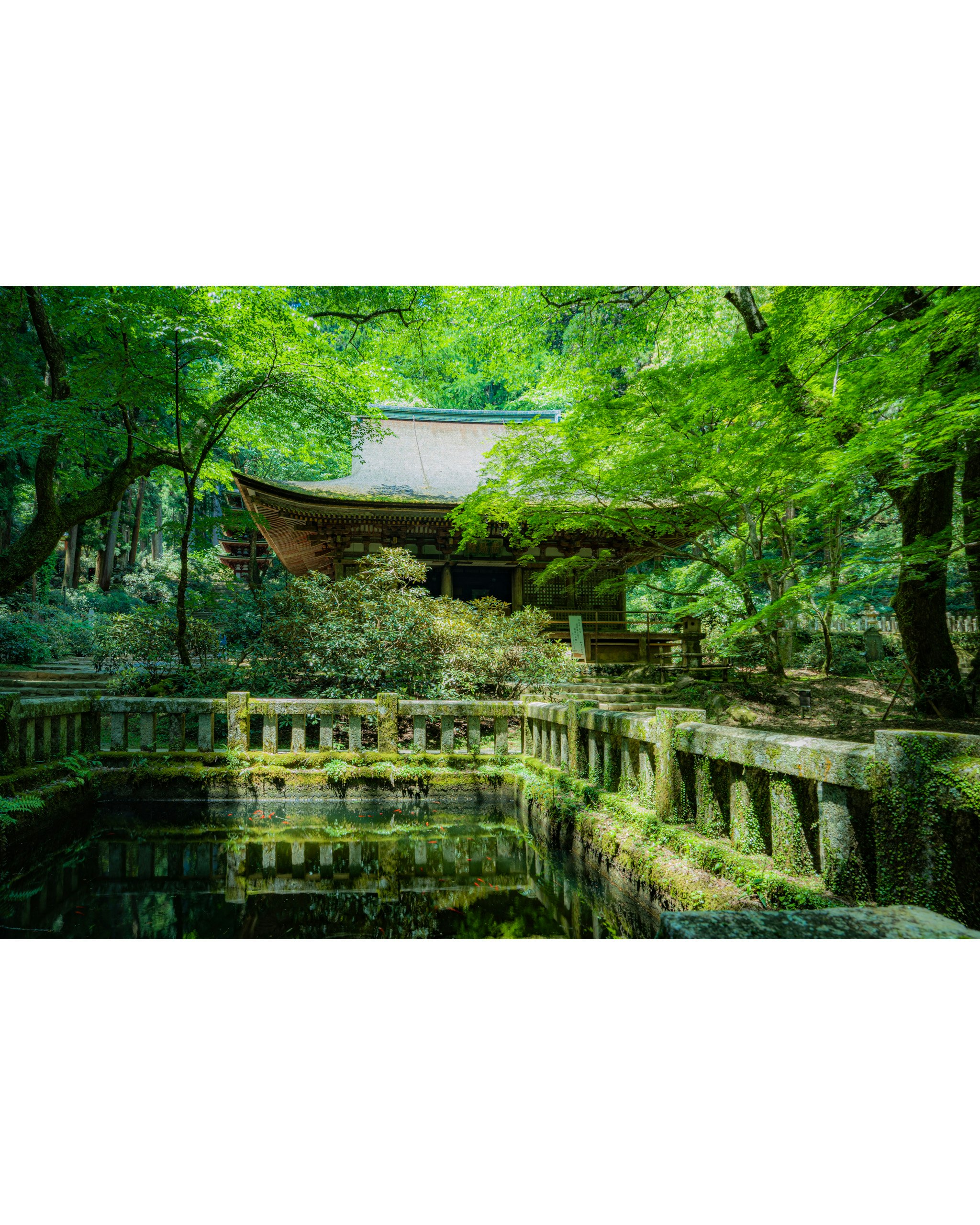 Murō-ji temple pond and main hall with lush green trees in Nara