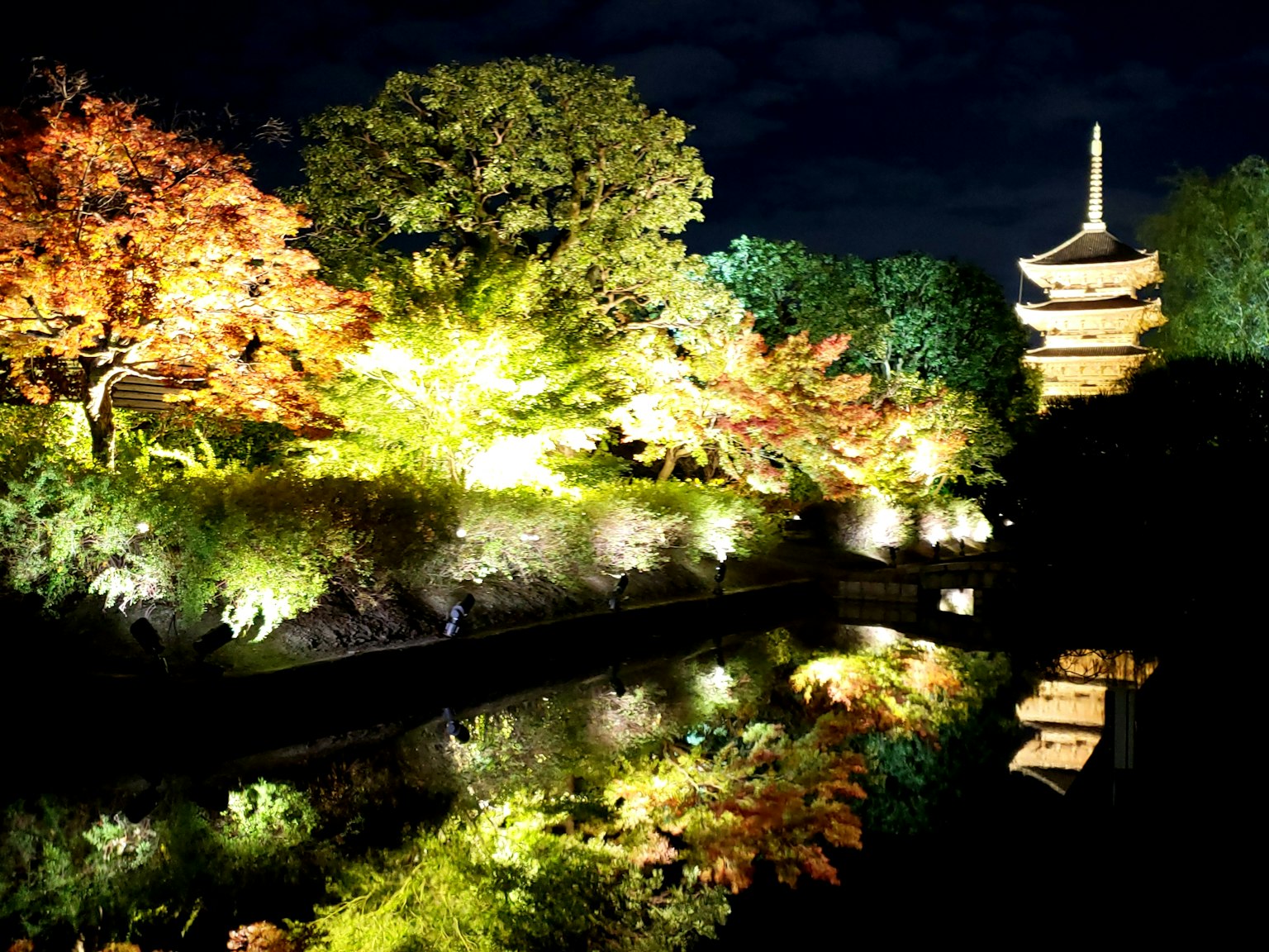Beautiful landscape of autumn leaves and a pagoda illuminated at night