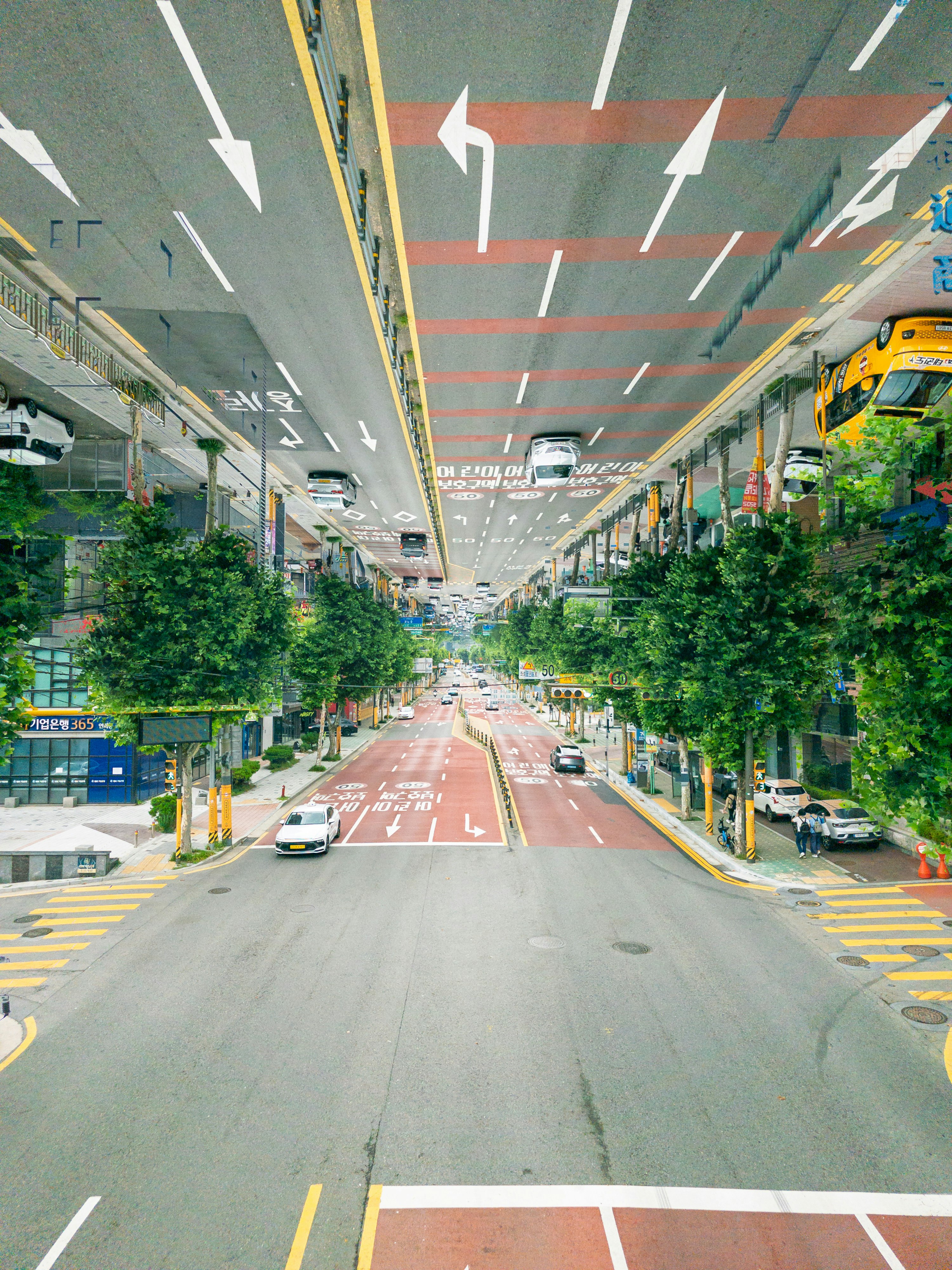街路樹の並ぶ都市の直線道路と車のある風景
