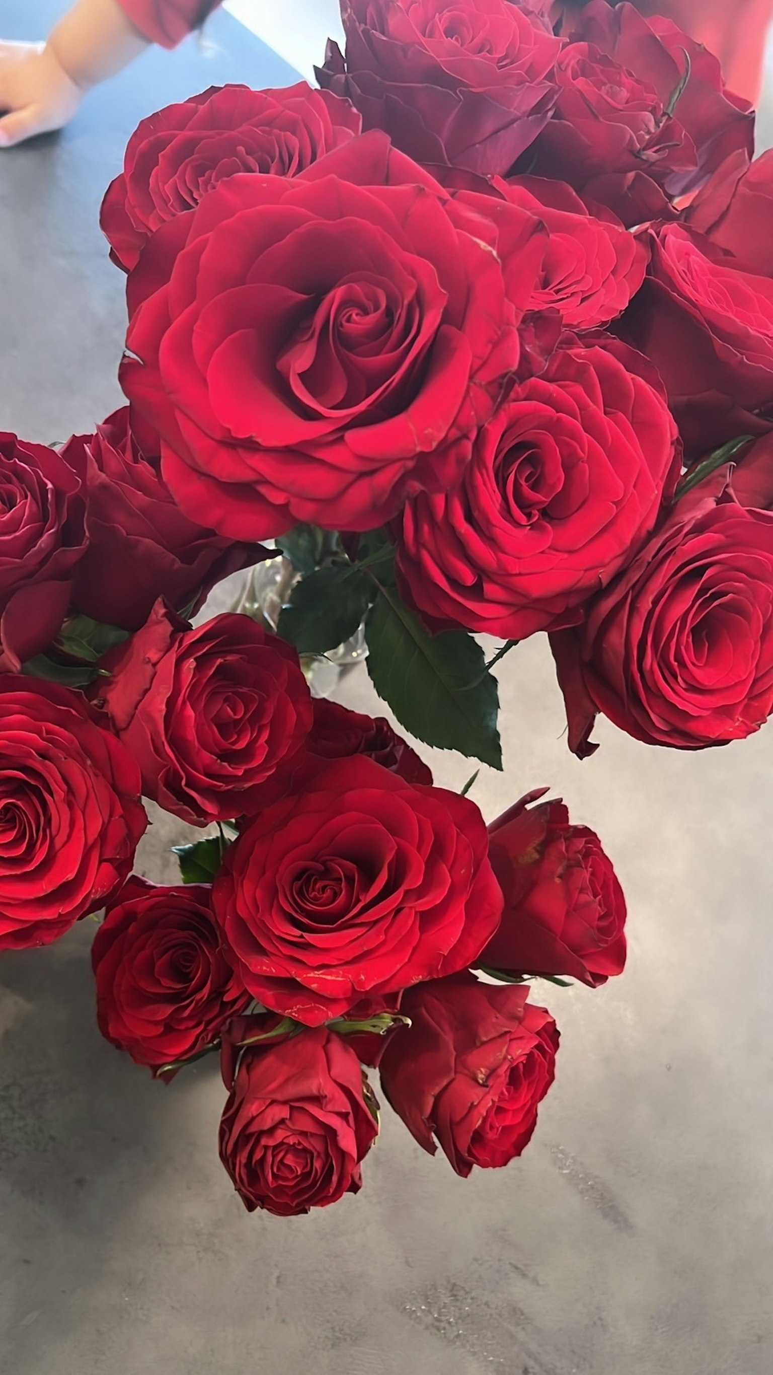 Un bouquet vibrant de roses rouges en pleine floraison