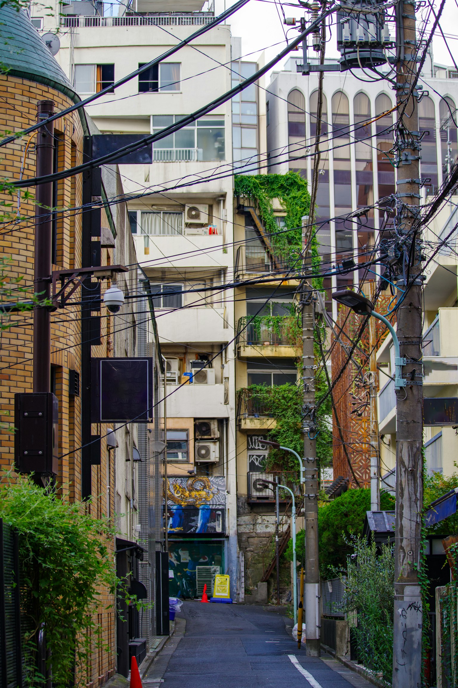 Narrow alley with buildings and power lines greenery visible