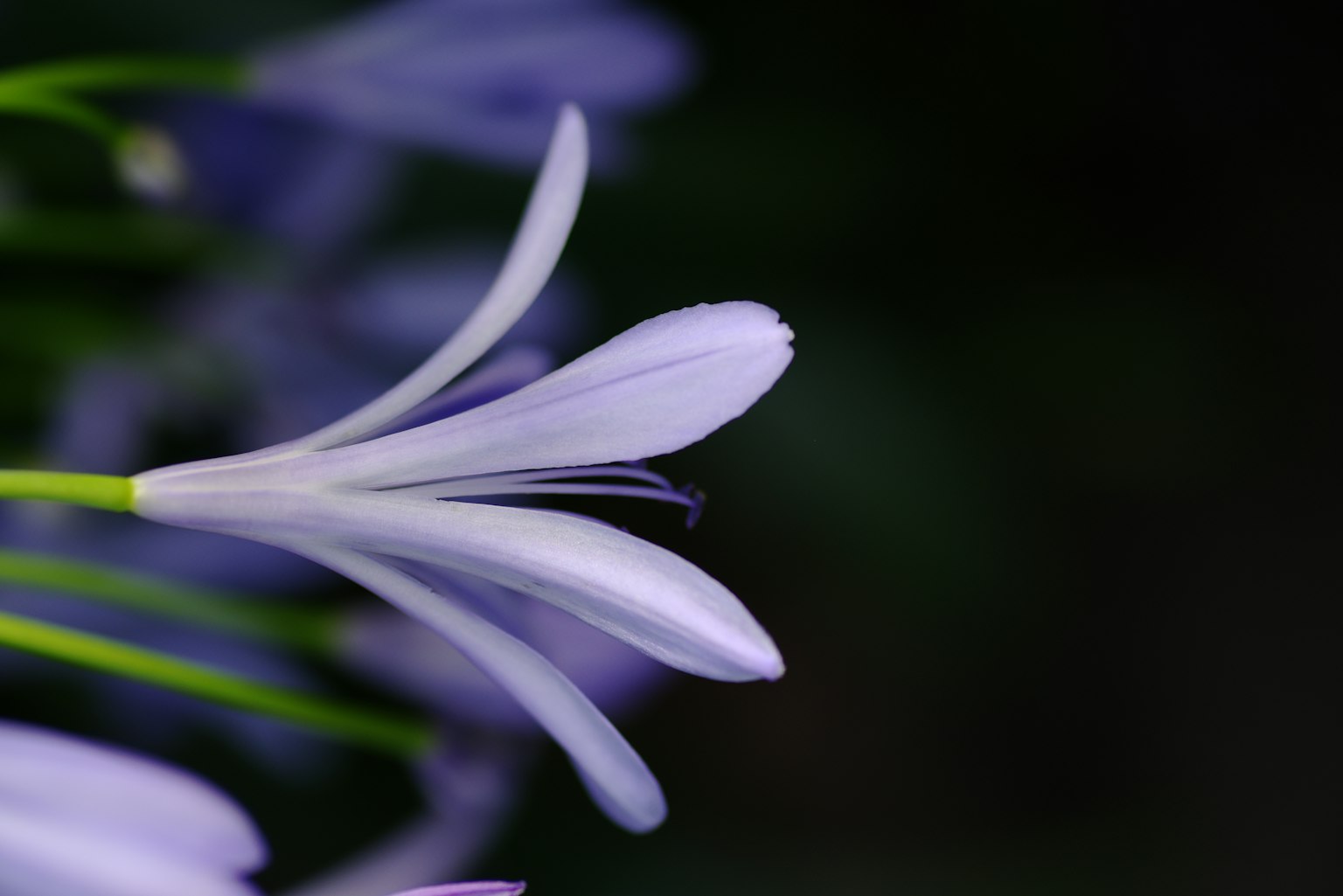 photo-pzKsbDqVT3JJTnEwUdh3-image