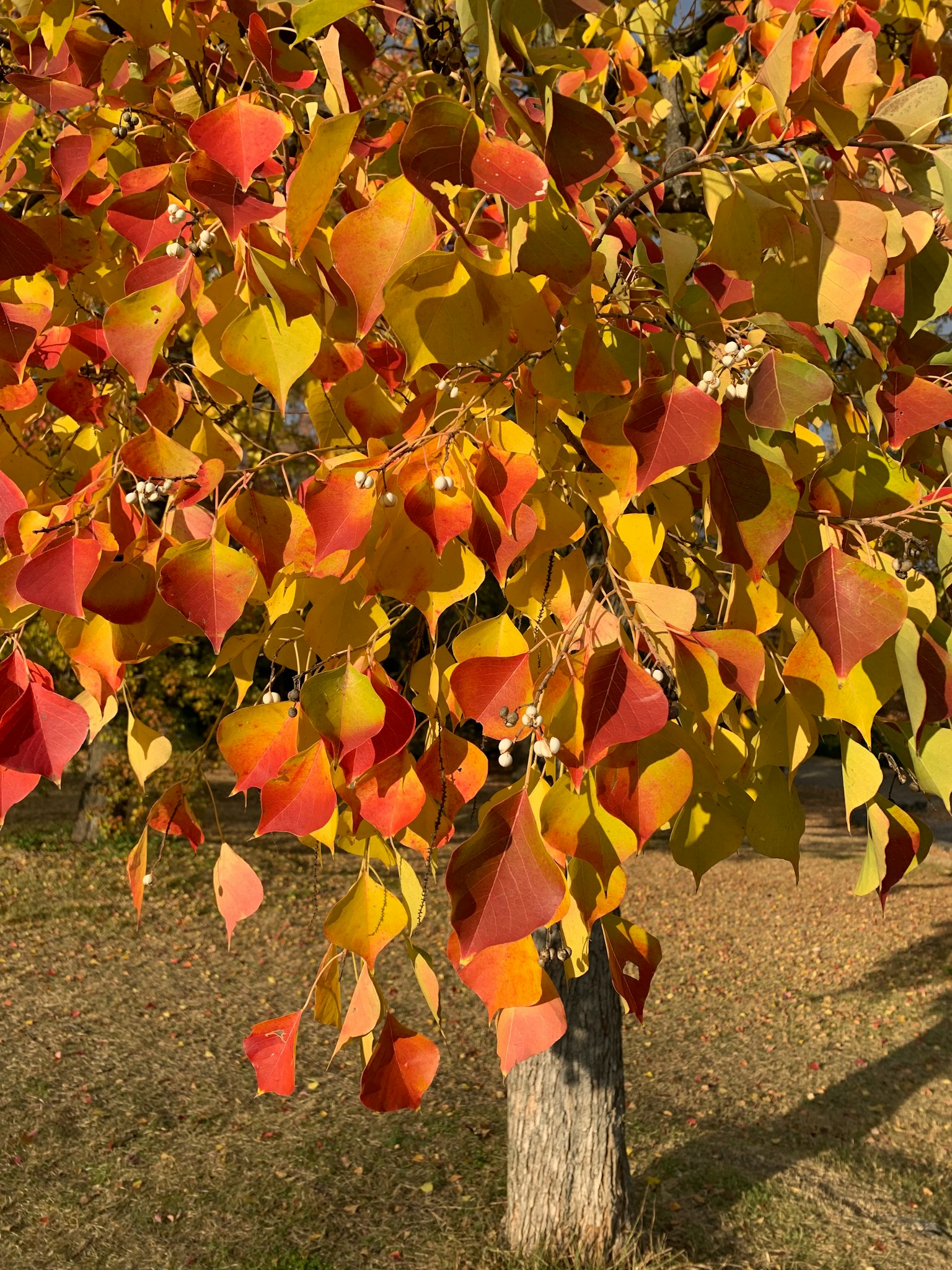 深色背景上的简单灰色方块