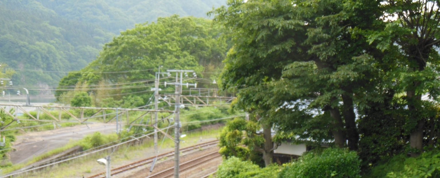 Montagne verdi con vista su binari ferroviari e linee elettriche